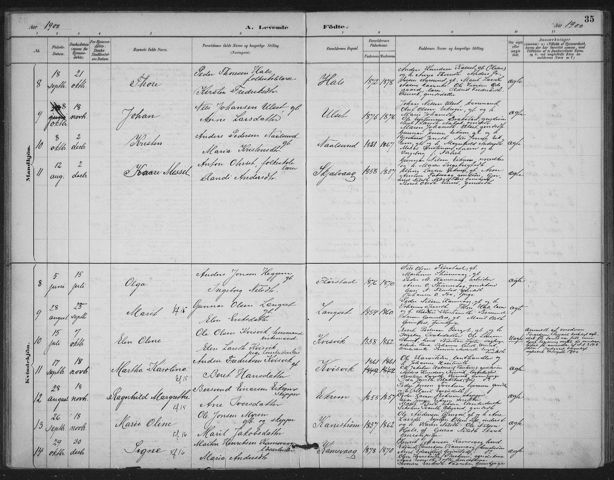 Ministerialprotokoller, klokkerbøker og fødselsregistre - Møre og Romsdal, AV/SAT-A-1454/587/L1000: Parish register (official) no. 587A02, 1887-1910, p. 35