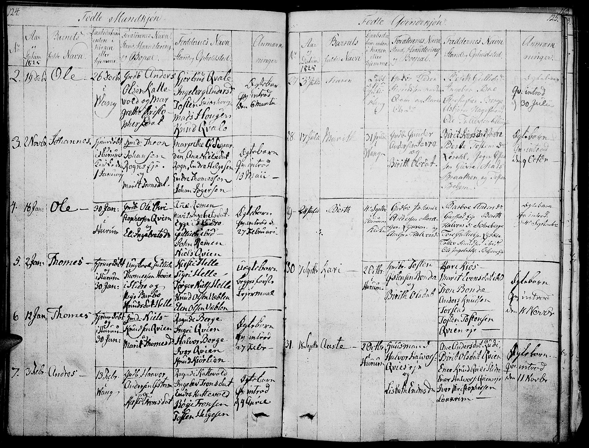 Vang prestekontor, Valdres, SAH/PREST-140/H/Ha/L0003: Parish register (official) no. 3, 1809-1831, p. 124-125
