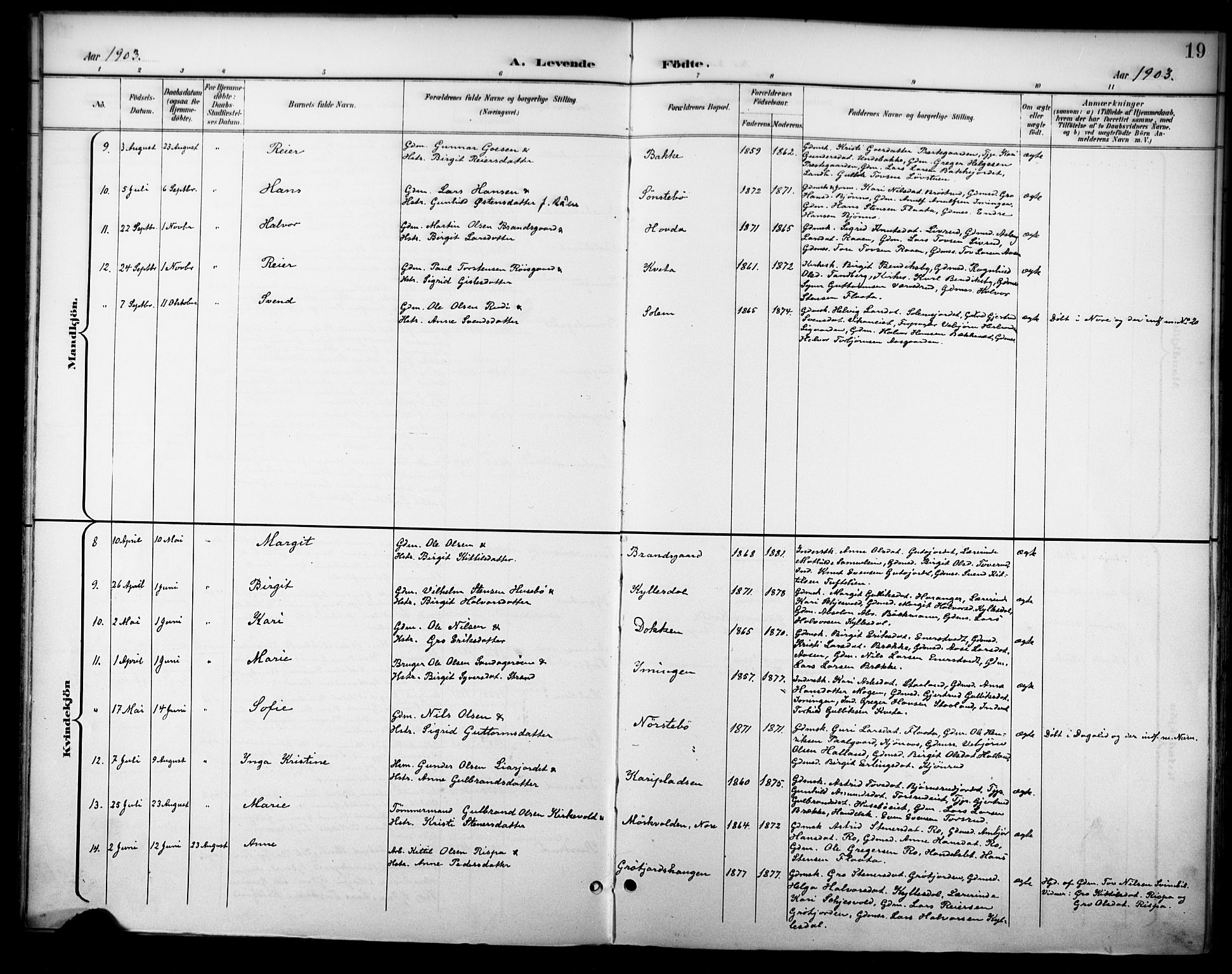 Nore kirkebøker, AV/SAKO-A-238/F/Fc/L0005: Parish register (official) no. III 5, 1898-1922, p. 19