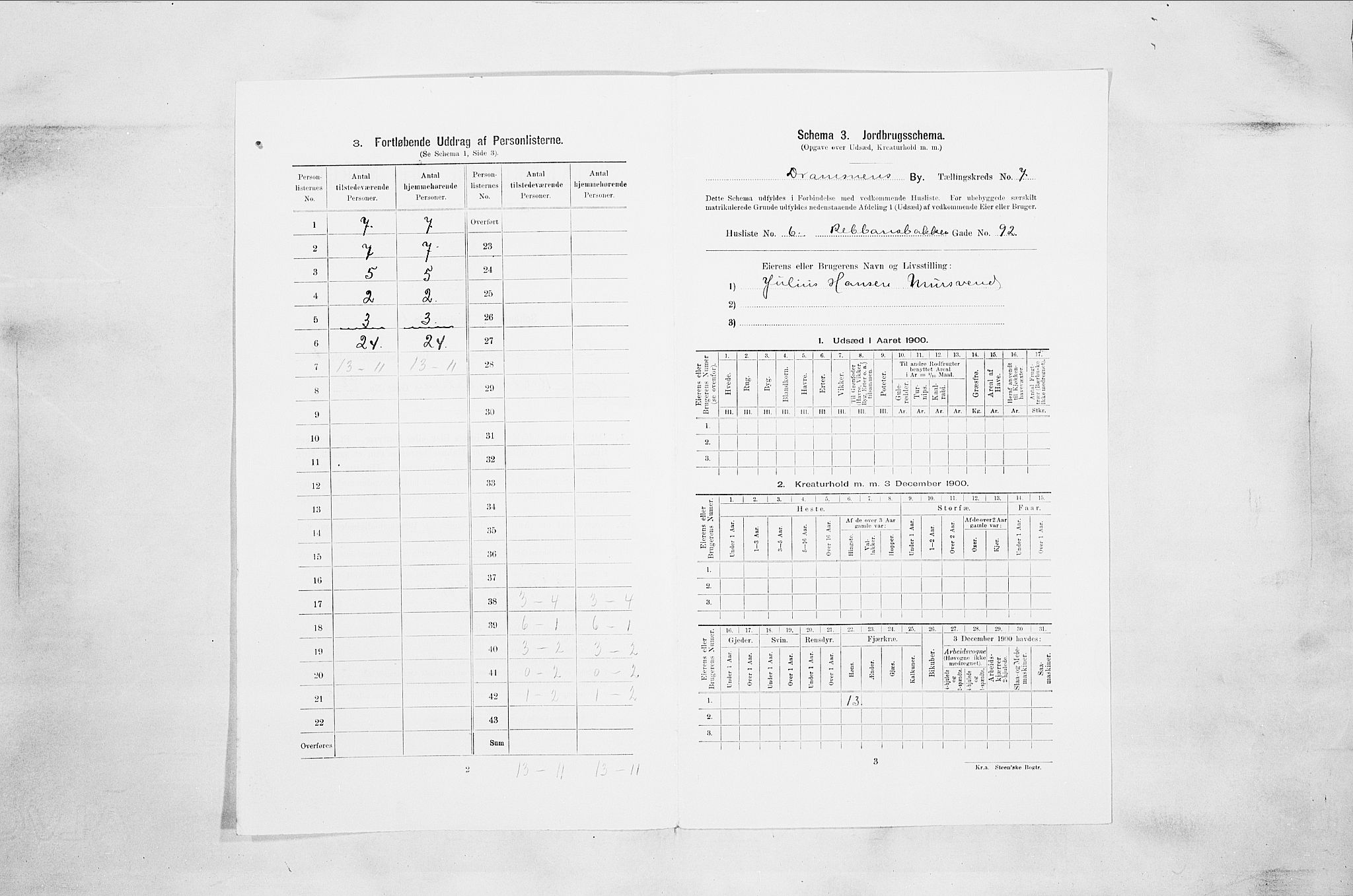 RA, 1900 census for Drammen, 1900, p. 1257