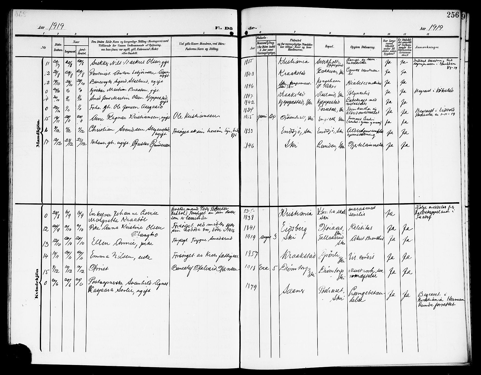 Kråkstad prestekontor Kirkebøker, SAO/A-10125a/G/Gb/L0001: Parish register (copy) no. II 1, 1905-1920, p. 256