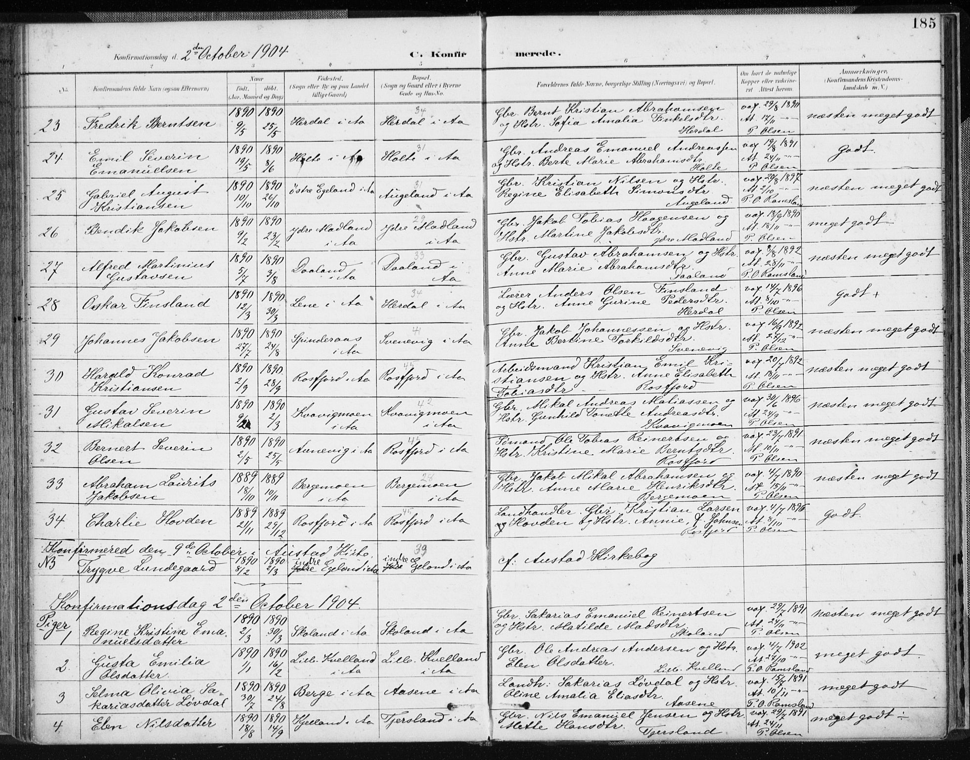 Lyngdal sokneprestkontor, AV/SAK-1111-0029/F/Fa/Fac/L0012: Parish register (official) no. A 12, 1894-1918, p. 185