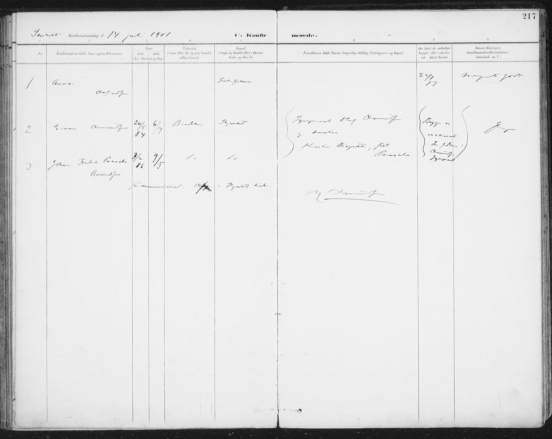 Ministerialprotokoller, klokkerbøker og fødselsregistre - Nordland, AV/SAT-A-1459/852/L0741: Parish register (official) no. 852A11, 1894-1917, p. 217