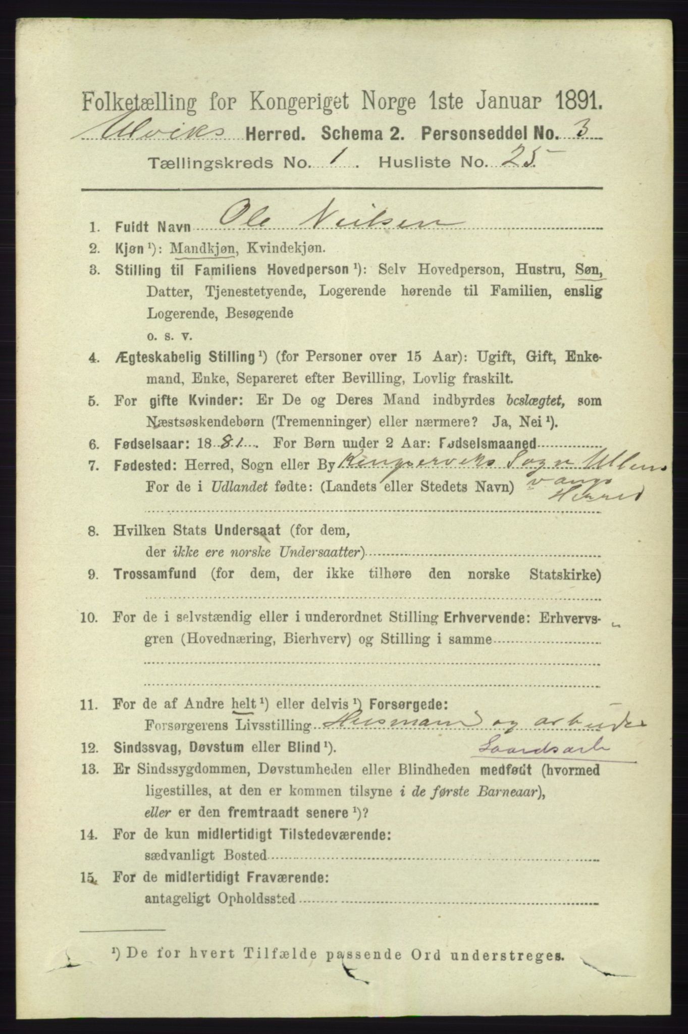 RA, 1891 census for 1233 Ulvik, 1891, p. 207