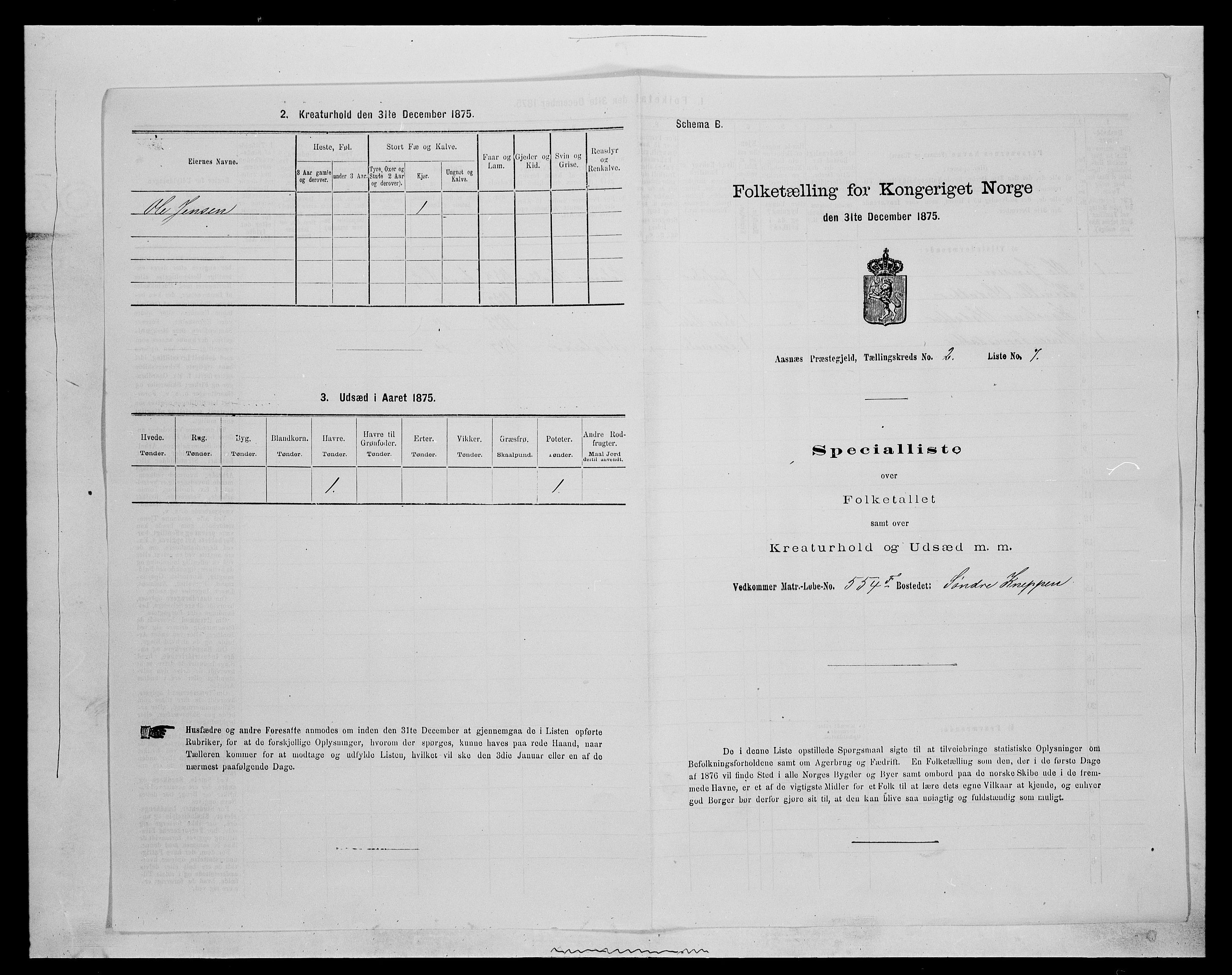 SAH, 1875 census for 0425P Åsnes, 1875, p. 163