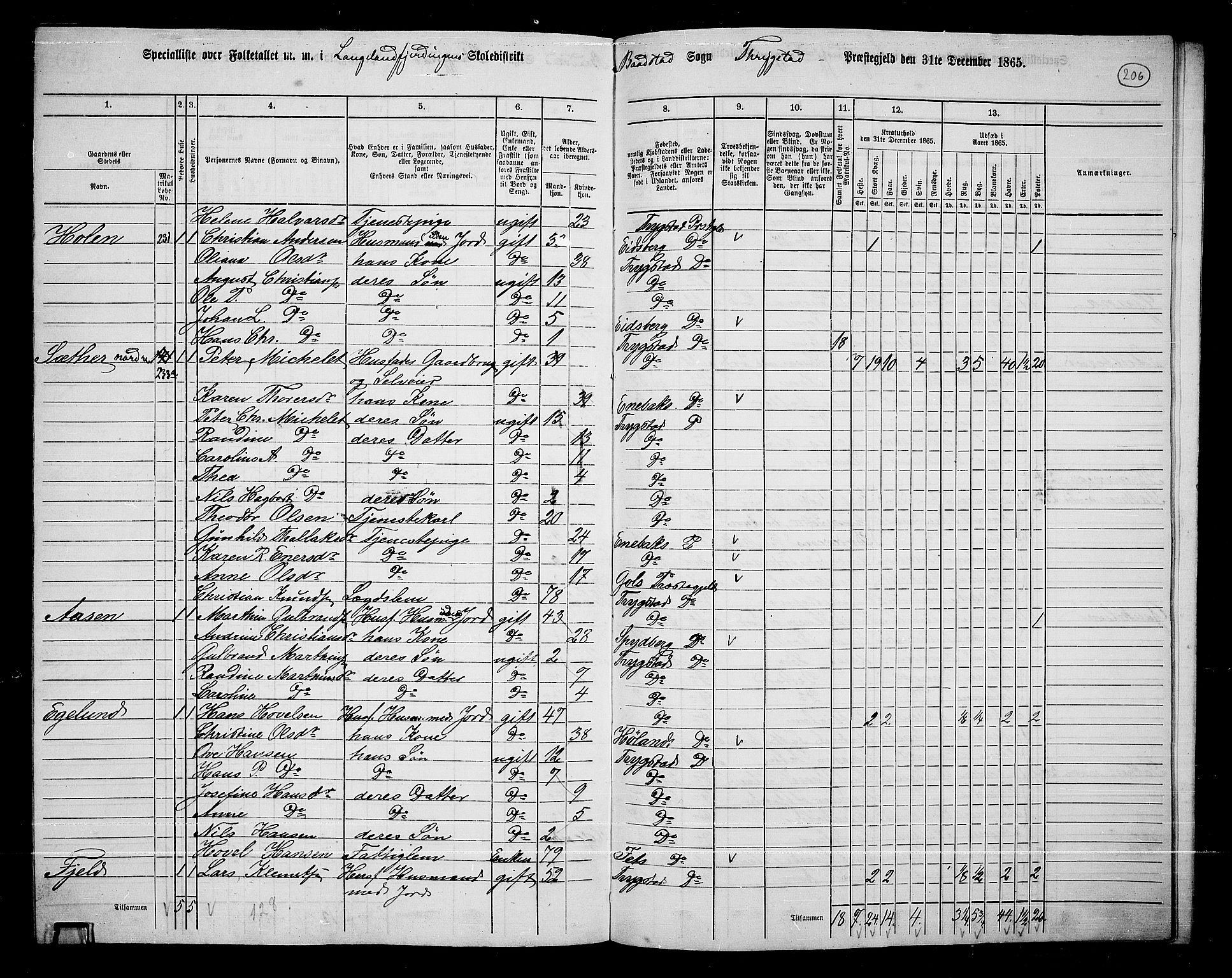 RA, 1865 census for Trøgstad, 1865, p. 181