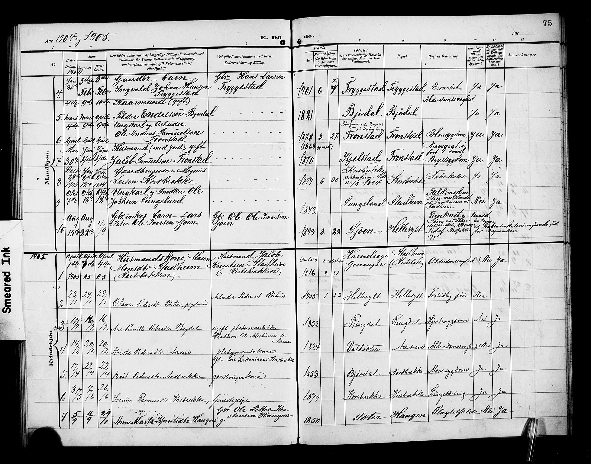 Ministerialprotokoller, klokkerbøker og fødselsregistre - Møre og Romsdal, AV/SAT-A-1454/517/L0231: Parish register (copy) no. 517C04, 1904-1918, p. 75