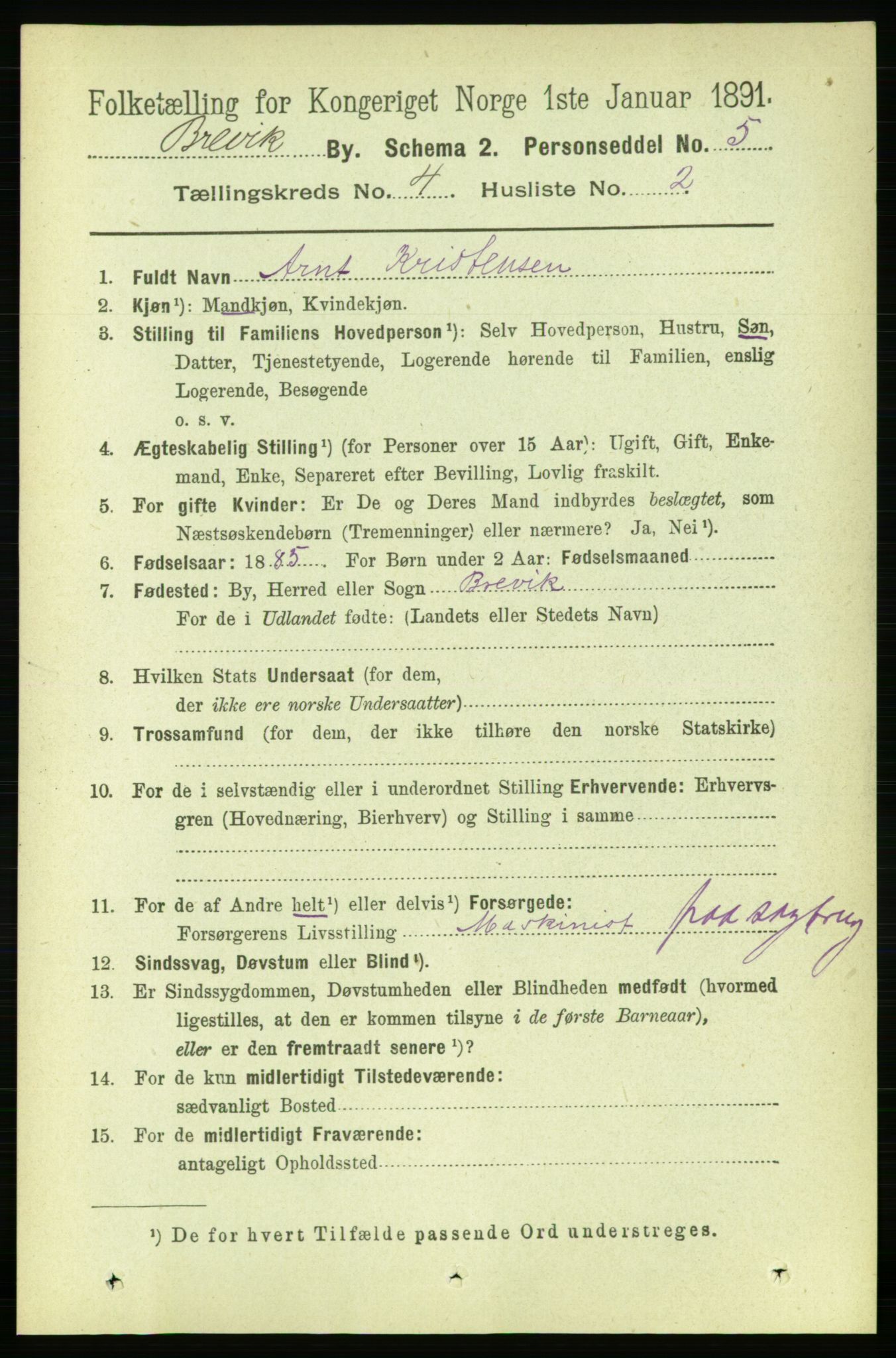 RA, 1891 census for 0804 Brevik, 1891, p. 2707