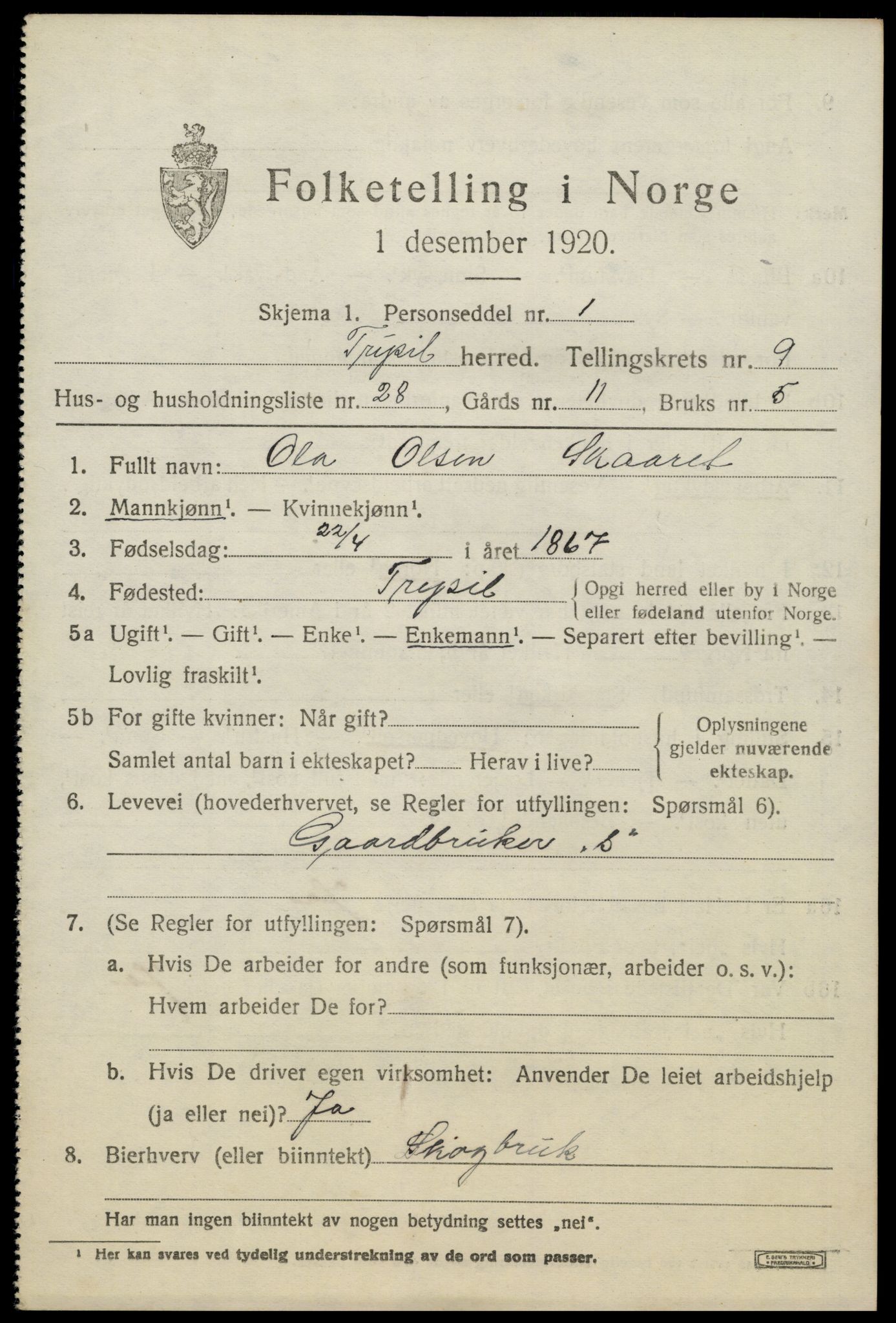 SAH, 1920 census for Trysil, 1920, p. 6857