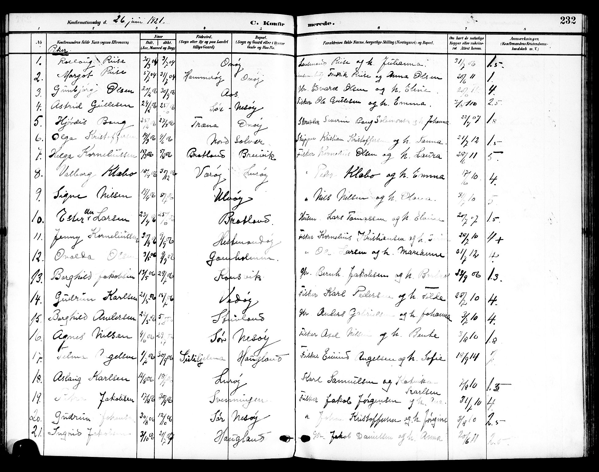 Ministerialprotokoller, klokkerbøker og fødselsregistre - Nordland, AV/SAT-A-1459/839/L0569: Parish register (official) no. 839A06, 1903-1922, p. 232