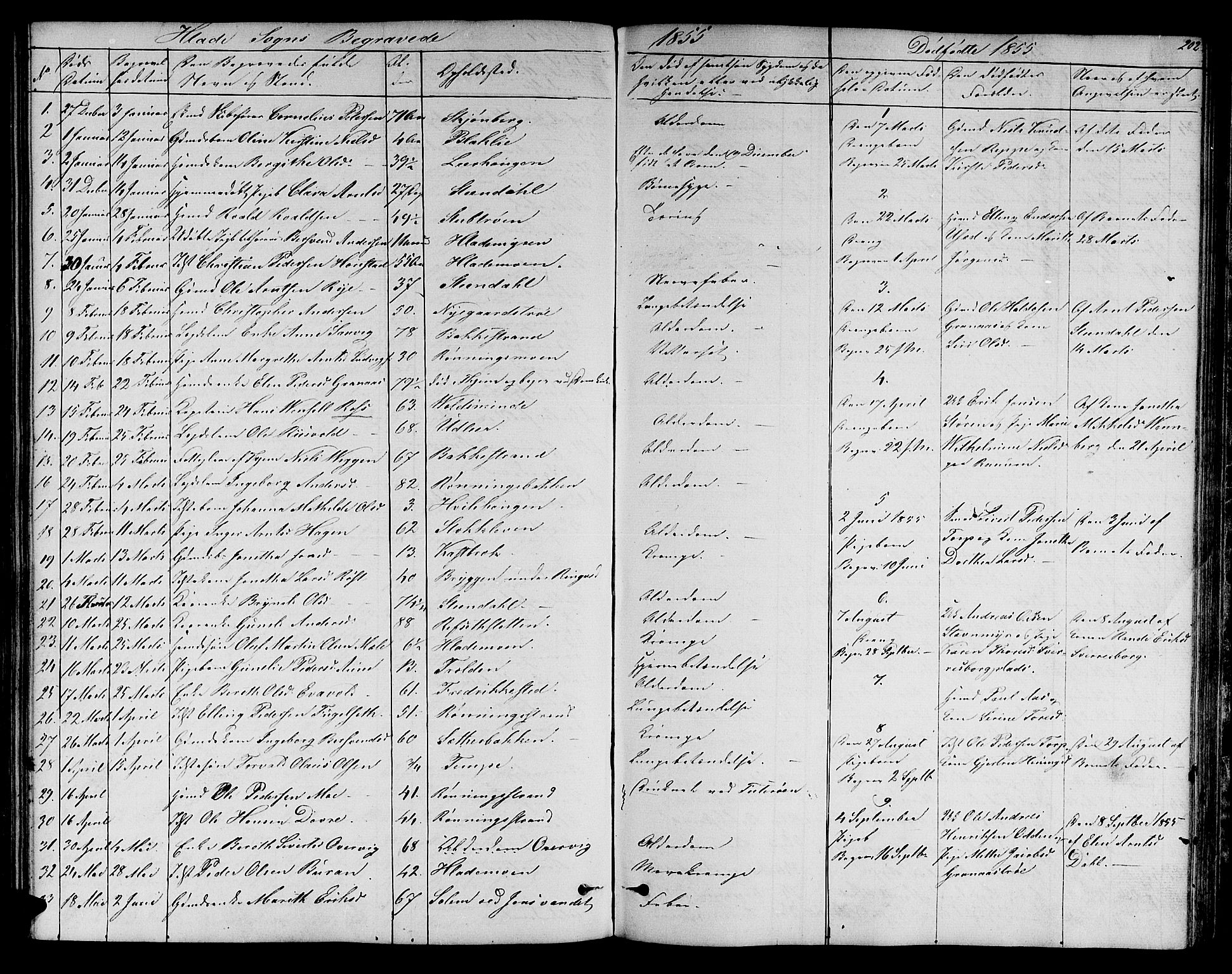 Ministerialprotokoller, klokkerbøker og fødselsregistre - Sør-Trøndelag, SAT/A-1456/606/L0310: Parish register (copy) no. 606C06, 1850-1859, p. 202