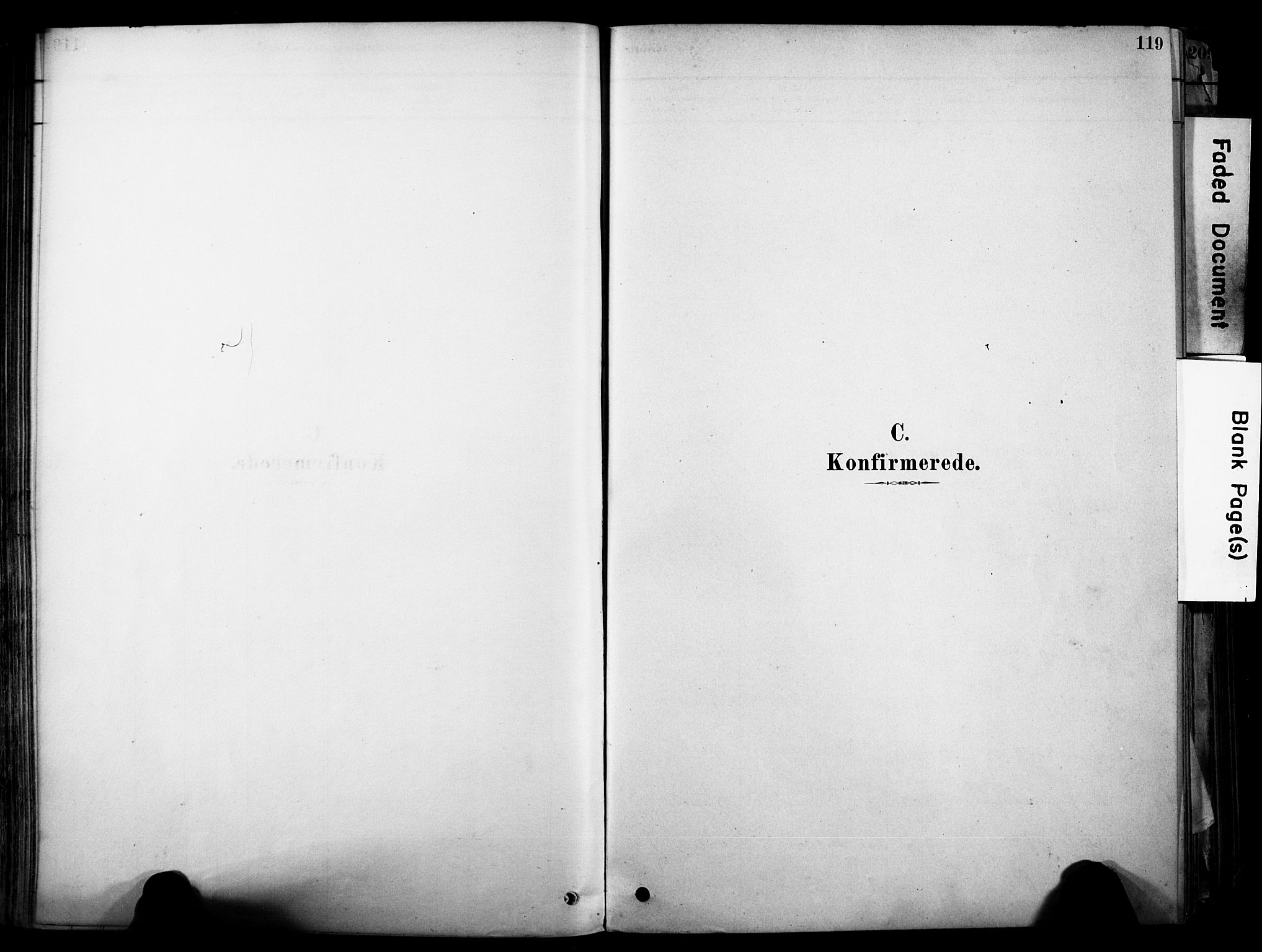 Brunlanes kirkebøker, SAKO/A-342/F/Fc/L0001: Parish register (official) no. III 1, 1878-1899, p. 119