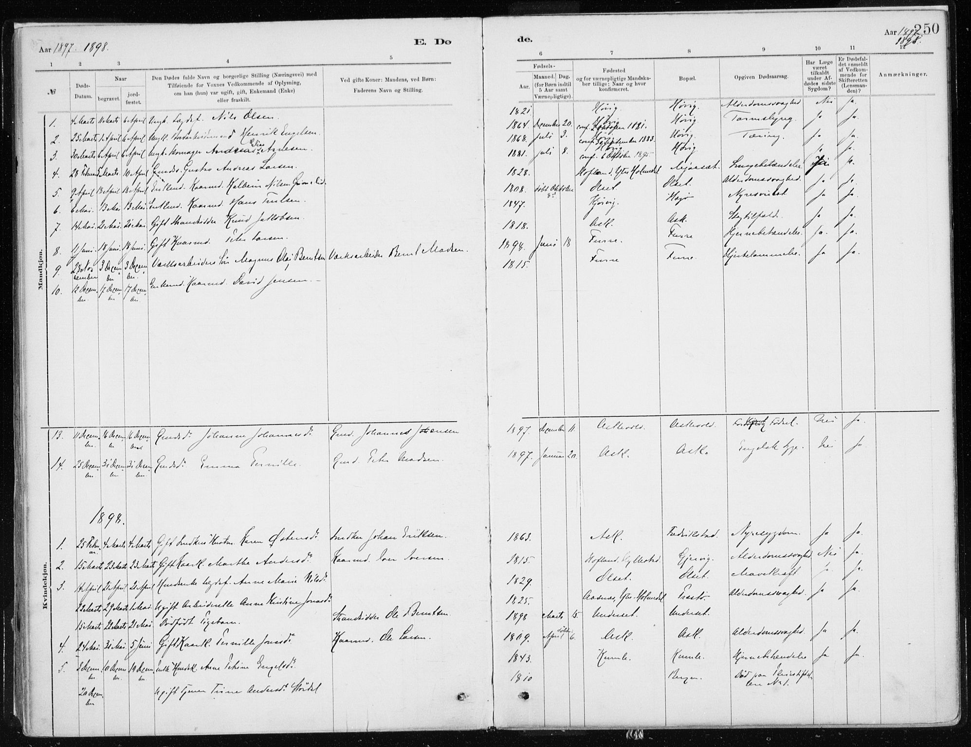 Askvoll sokneprestembete, SAB/A-79501/H/Haa/Haab/L0002: Parish register (official) no. B 2, 1879-1909, p. 250