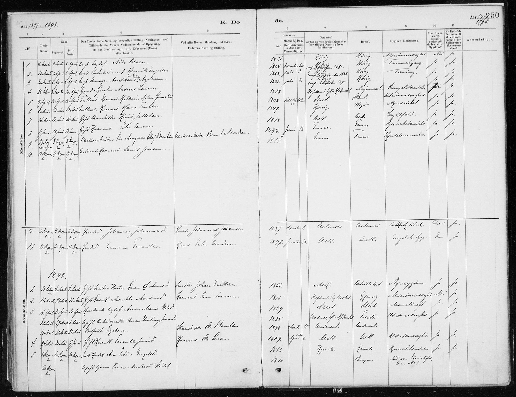 Askvoll sokneprestembete, AV/SAB-A-79501/H/Haa/Haab/L0002: Parish register (official) no. B 2, 1879-1909, p. 250