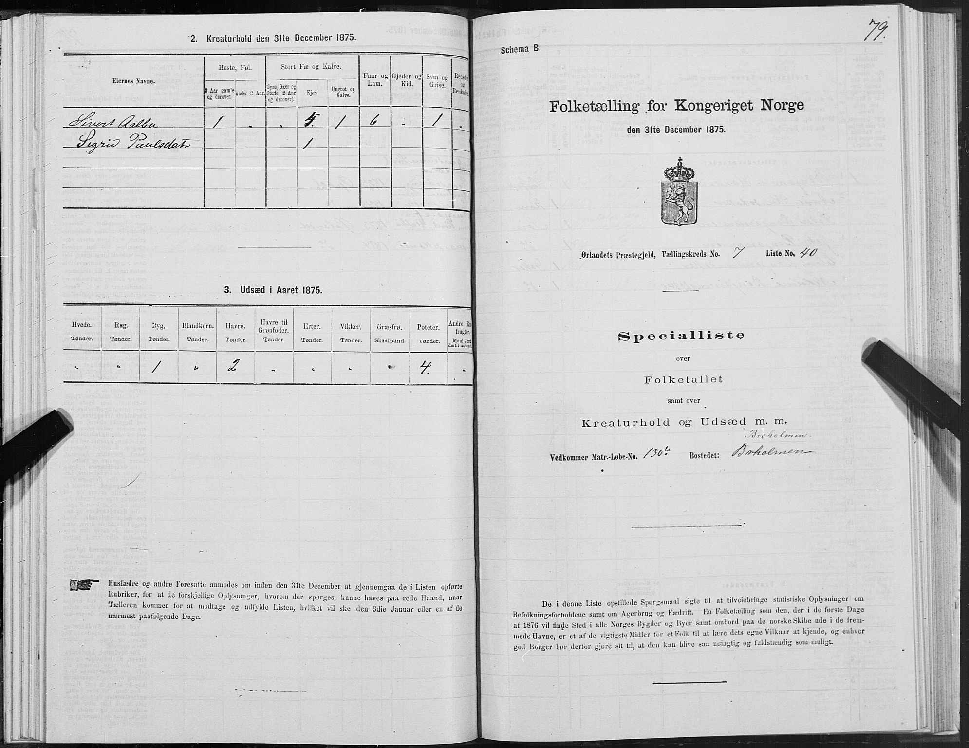 SAT, 1875 census for 1621P Ørland, 1875, p. 4079