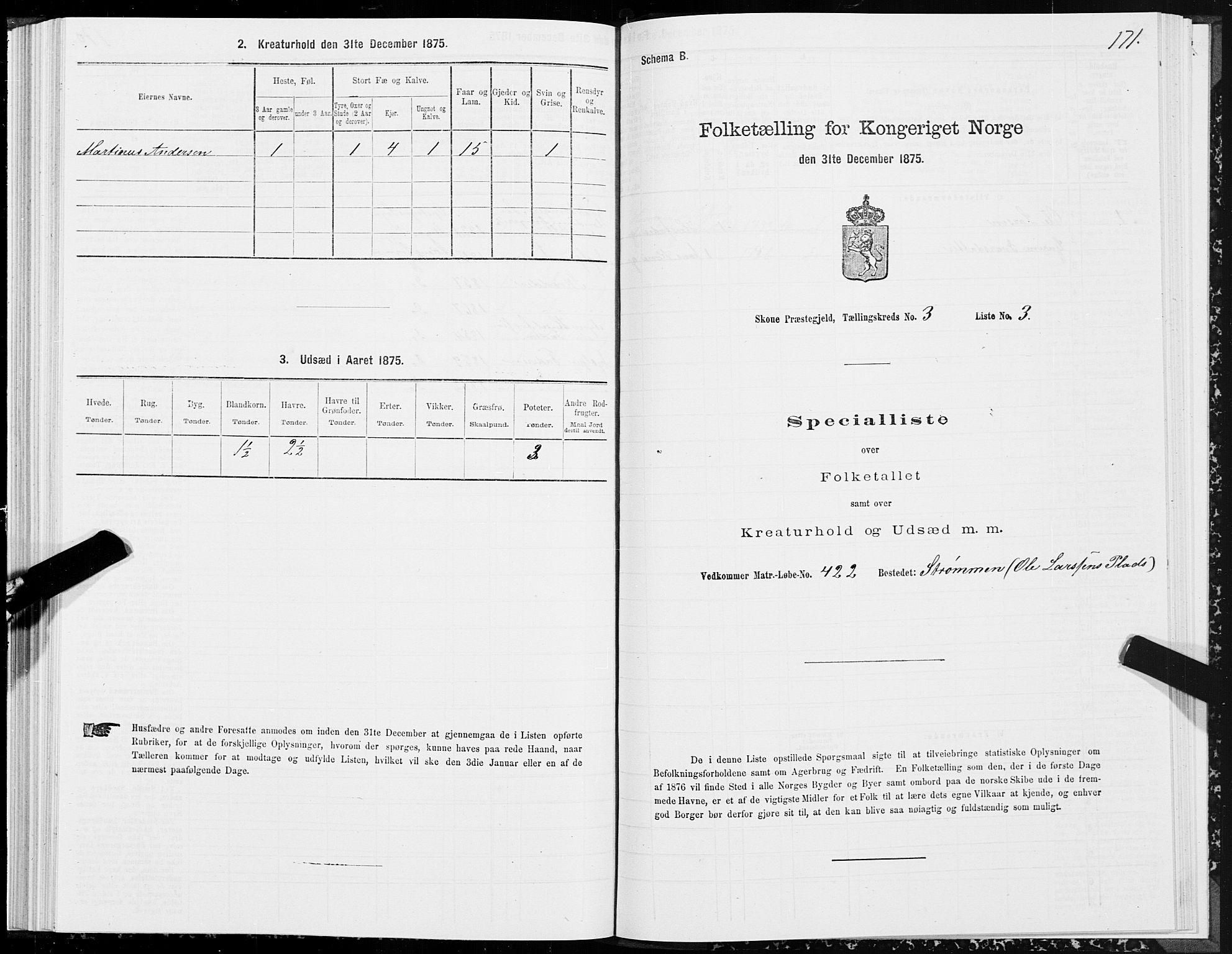 SAT, 1875 census for 1529P Skodje, 1875, p. 1171