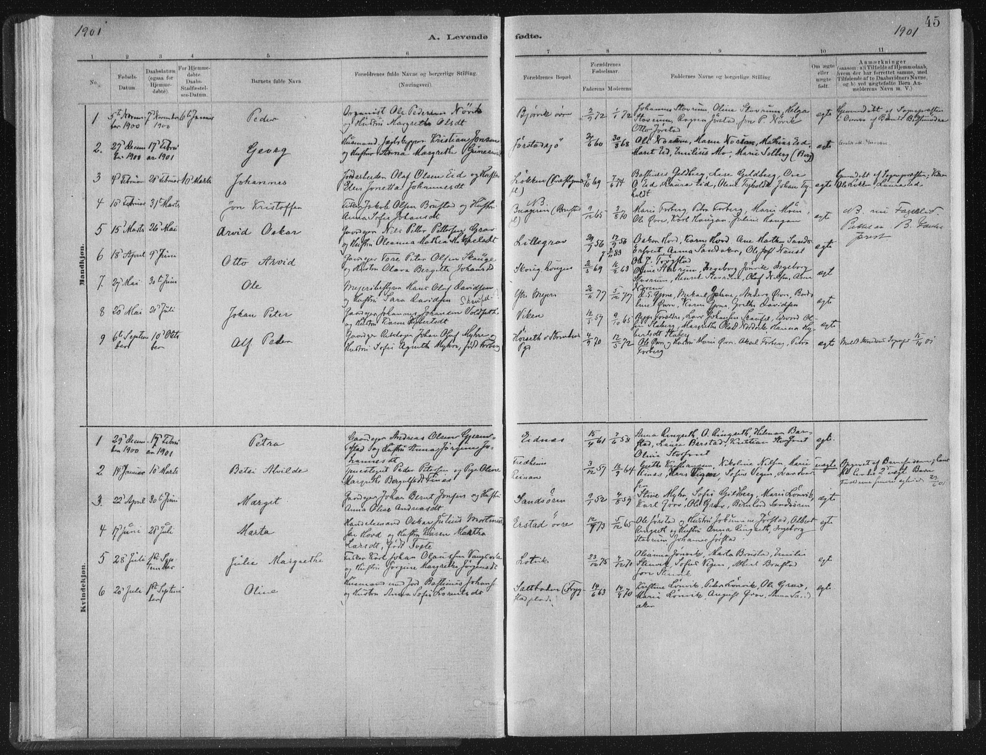 Ministerialprotokoller, klokkerbøker og fødselsregistre - Nord-Trøndelag, AV/SAT-A-1458/722/L0220: Parish register (official) no. 722A07, 1881-1908, p. 45