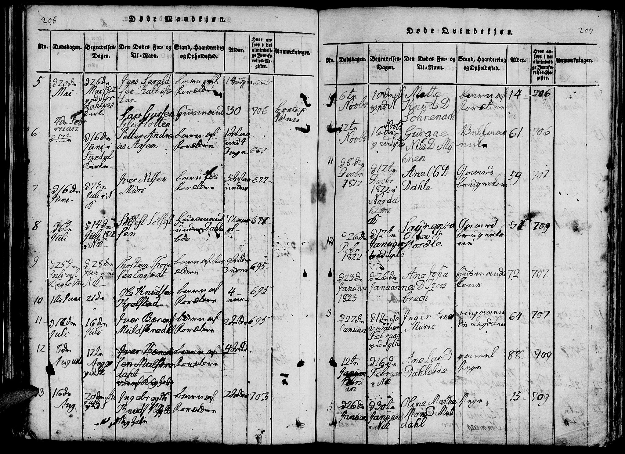 Ministerialprotokoller, klokkerbøker og fødselsregistre - Møre og Romsdal, SAT/A-1454/519/L0260: Parish register (copy) no. 519C01, 1817-1829, p. 206-207