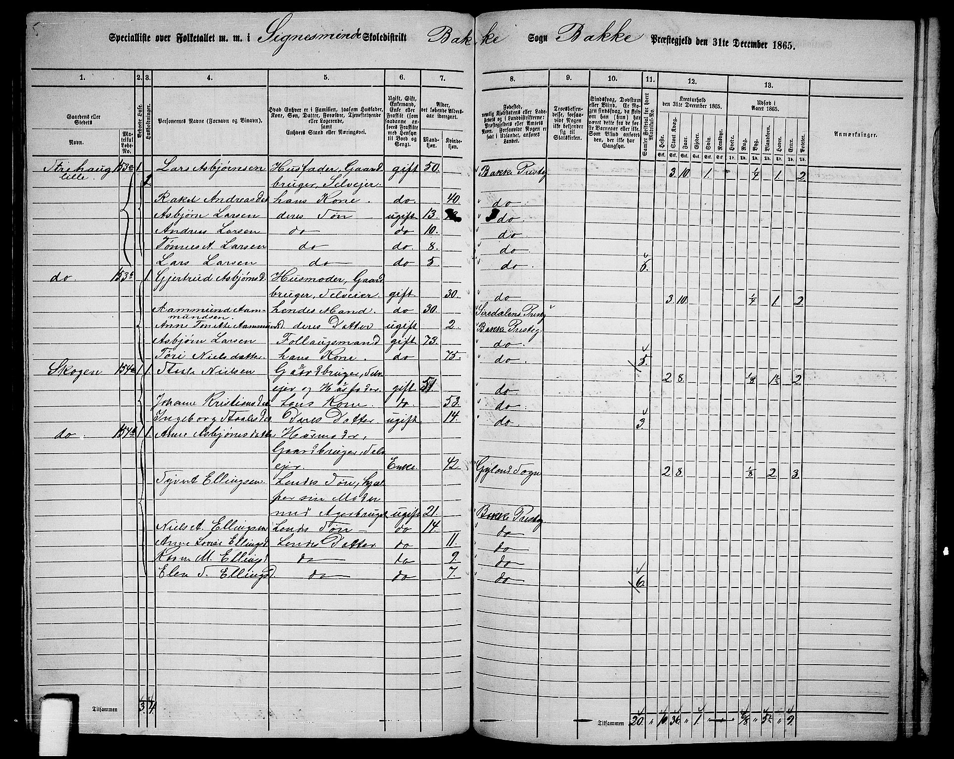 RA, 1865 census for Bakke, 1865, p. 96