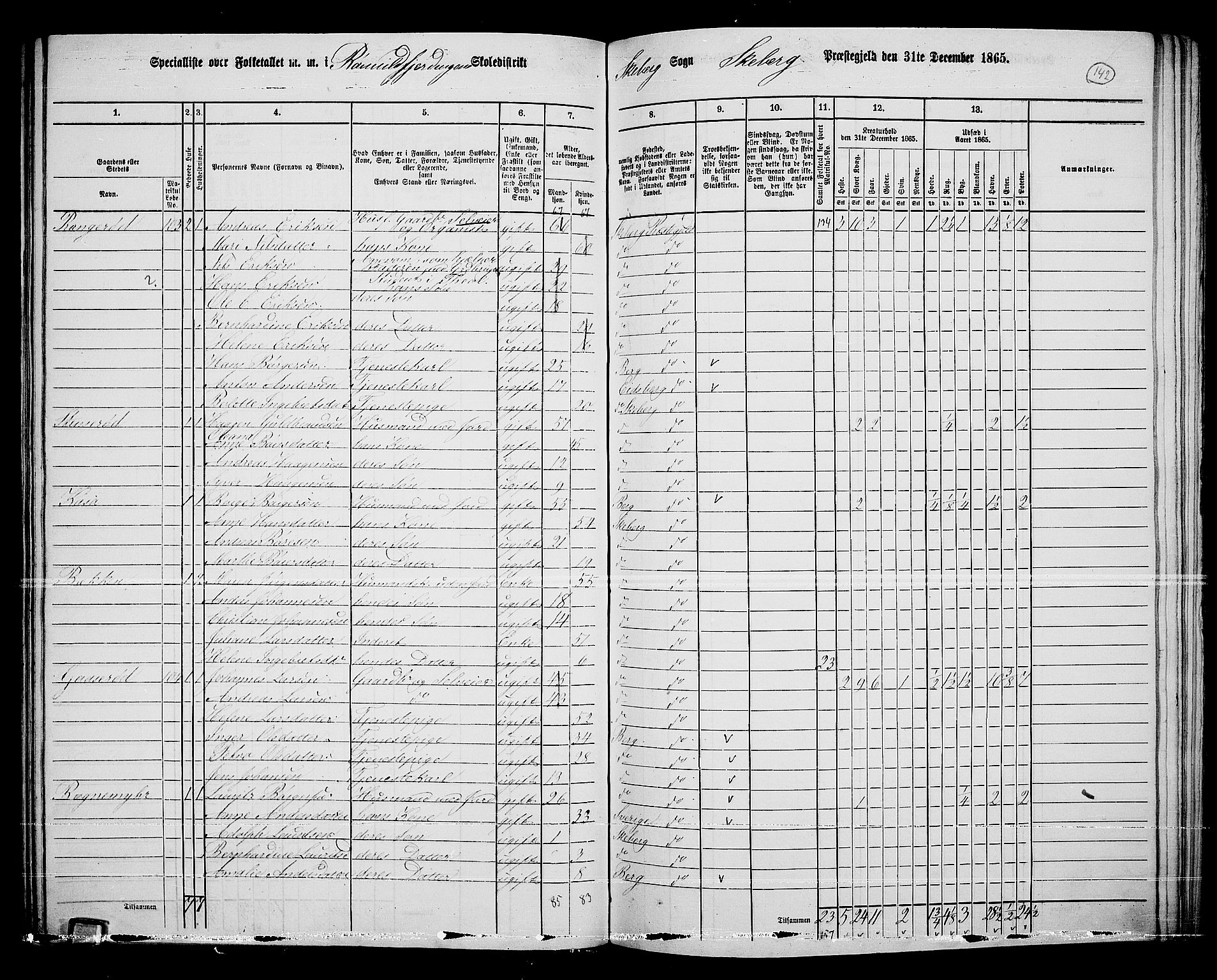 RA, 1865 census for Skjeberg, 1865, p. 133