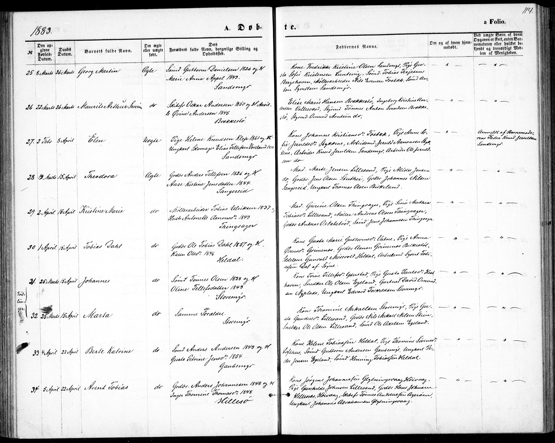 Vestre Moland sokneprestkontor, SAK/1111-0046/F/Fb/Fbb/L0005: Parish register (copy) no. B 5, 1872-1883, p. 114