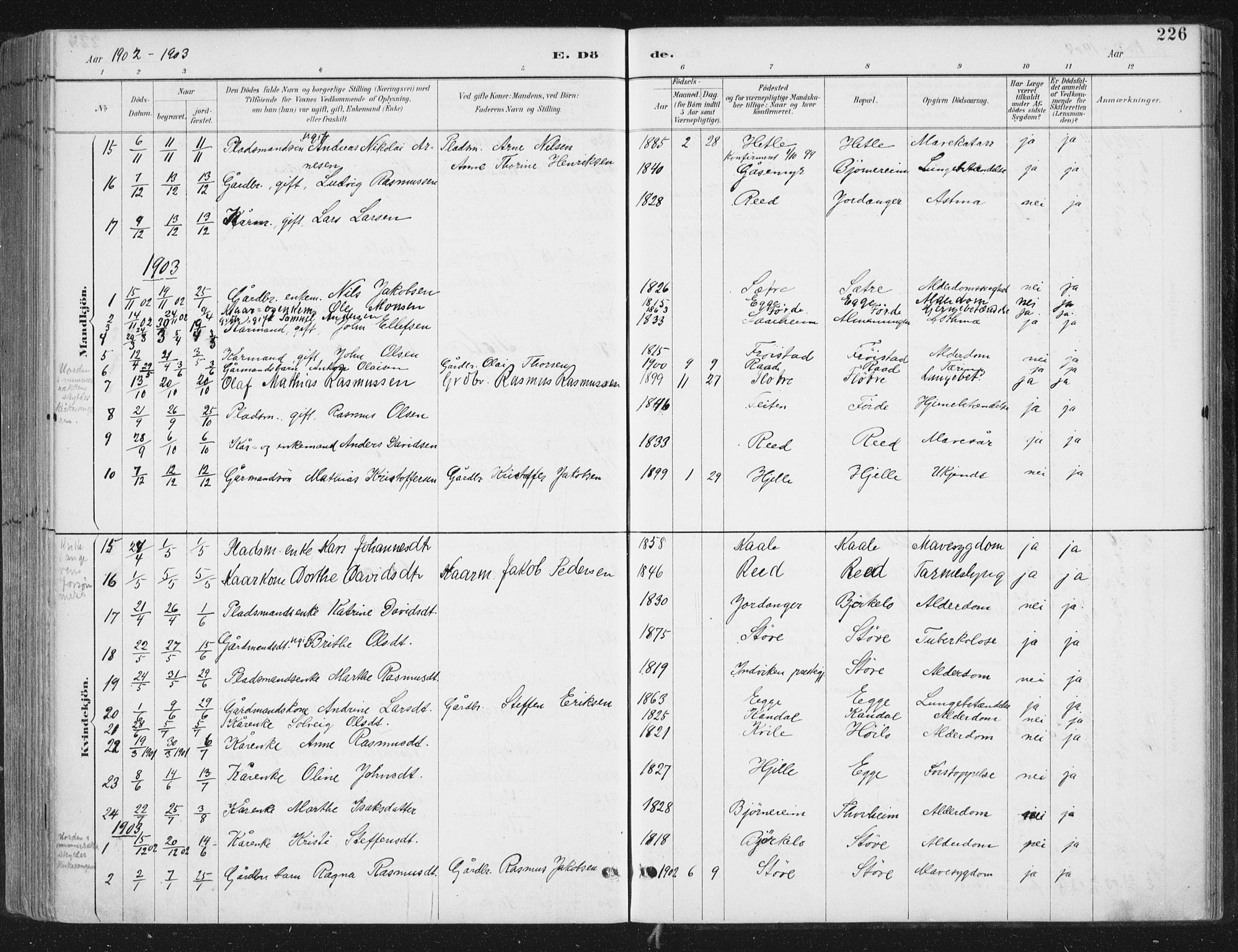 Gloppen sokneprestembete, SAB/A-80101/H/Haa/Haac/L0002: Parish register (official) no. C  2, 1887-1904, p. 226