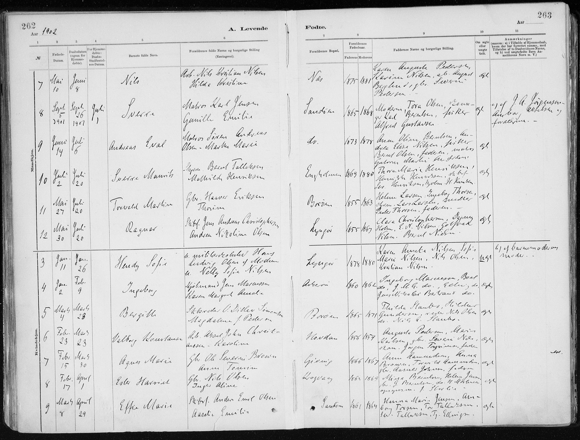 Dypvåg sokneprestkontor, SAK/1111-0007/F/Fa/Faa/L0008: Parish register (official) no. A 8, 1885-1906, p. 262-263