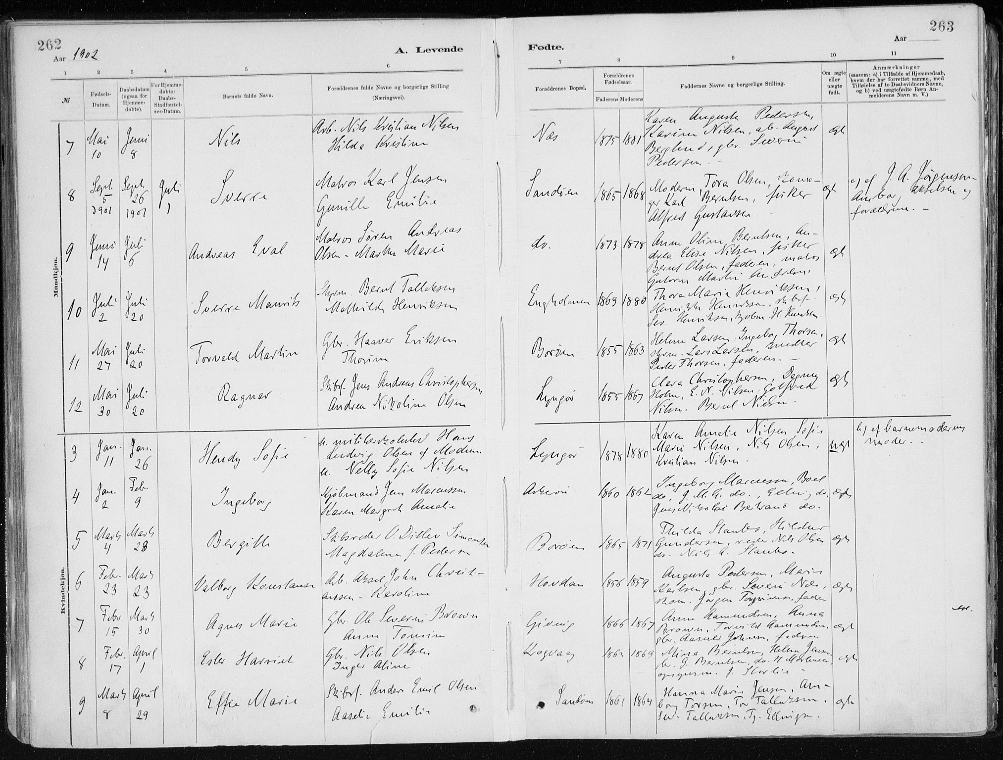 Dypvåg sokneprestkontor, AV/SAK-1111-0007/F/Fa/Faa/L0008: Parish register (official) no. A 8, 1885-1906, p. 262-263