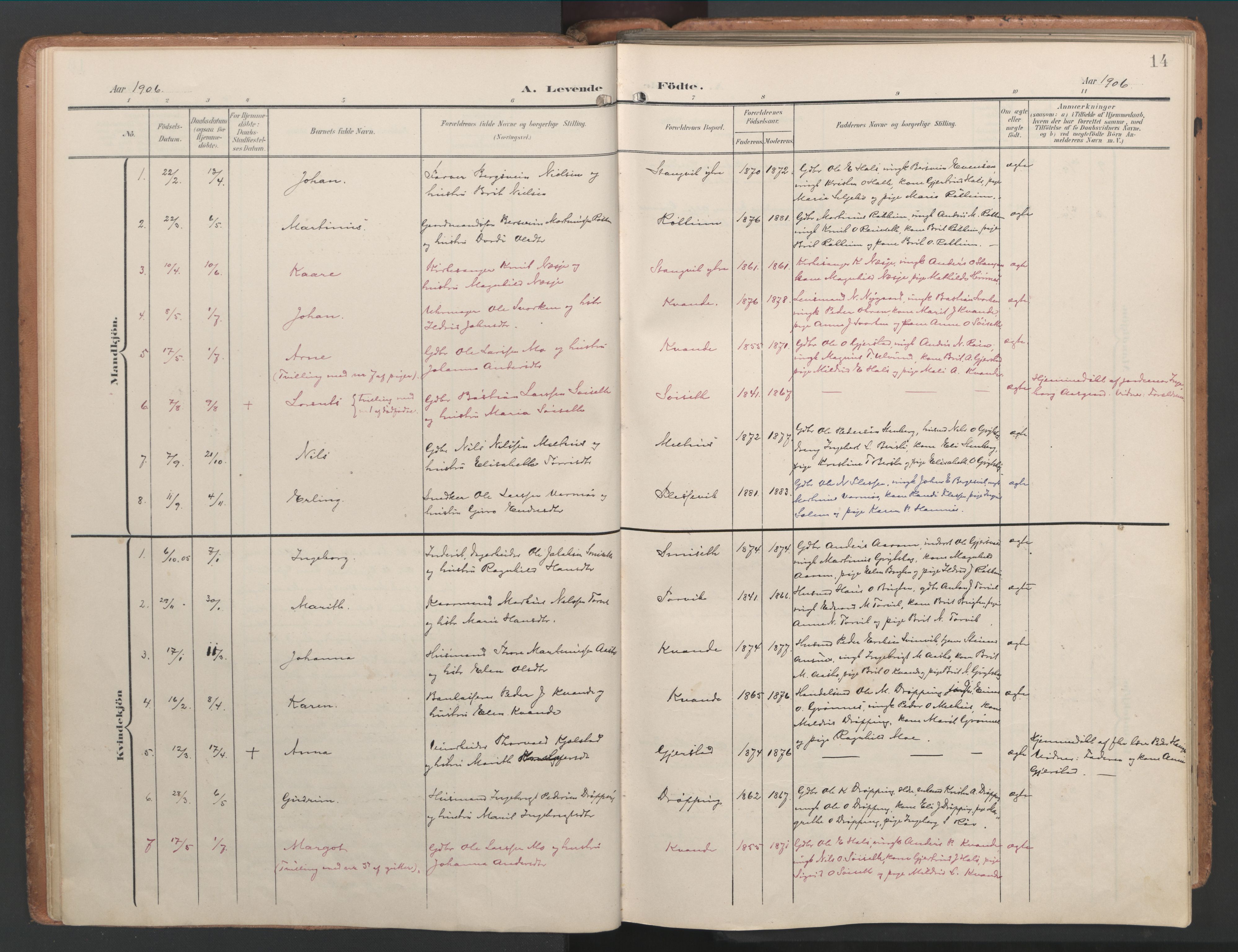 Ministerialprotokoller, klokkerbøker og fødselsregistre - Møre og Romsdal, AV/SAT-A-1454/592/L1030: Parish register (official) no. 592A08, 1901-1925, p. 14