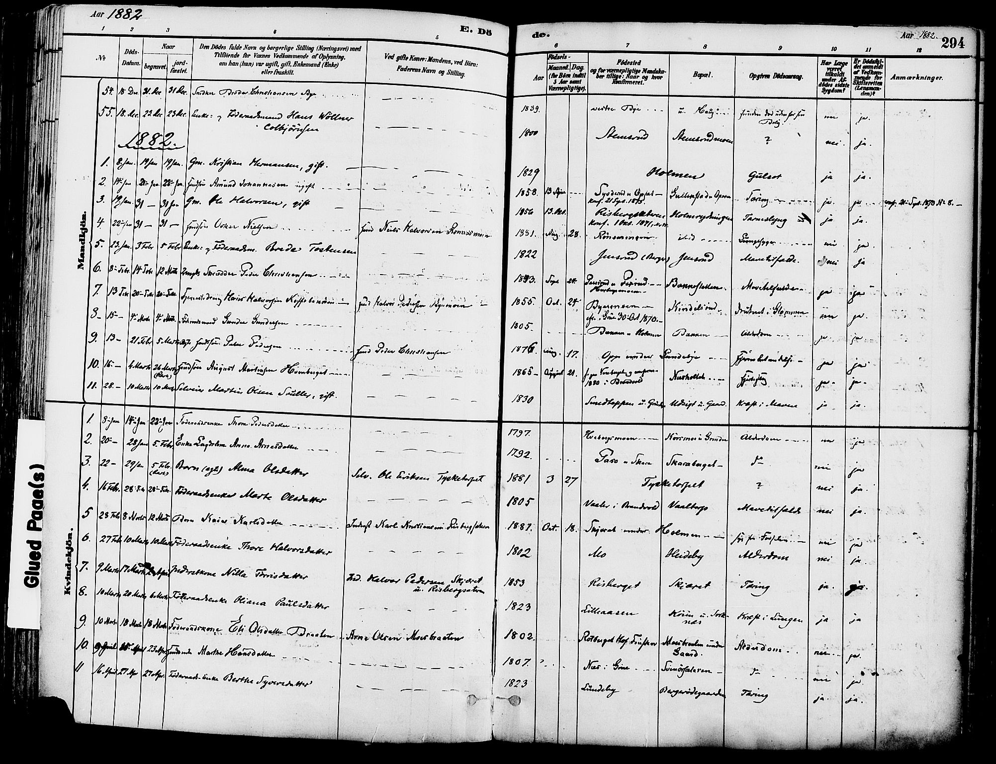 Grue prestekontor, SAH/PREST-036/H/Ha/Haa/L0012: Parish register (official) no. 12, 1881-1897, p. 294