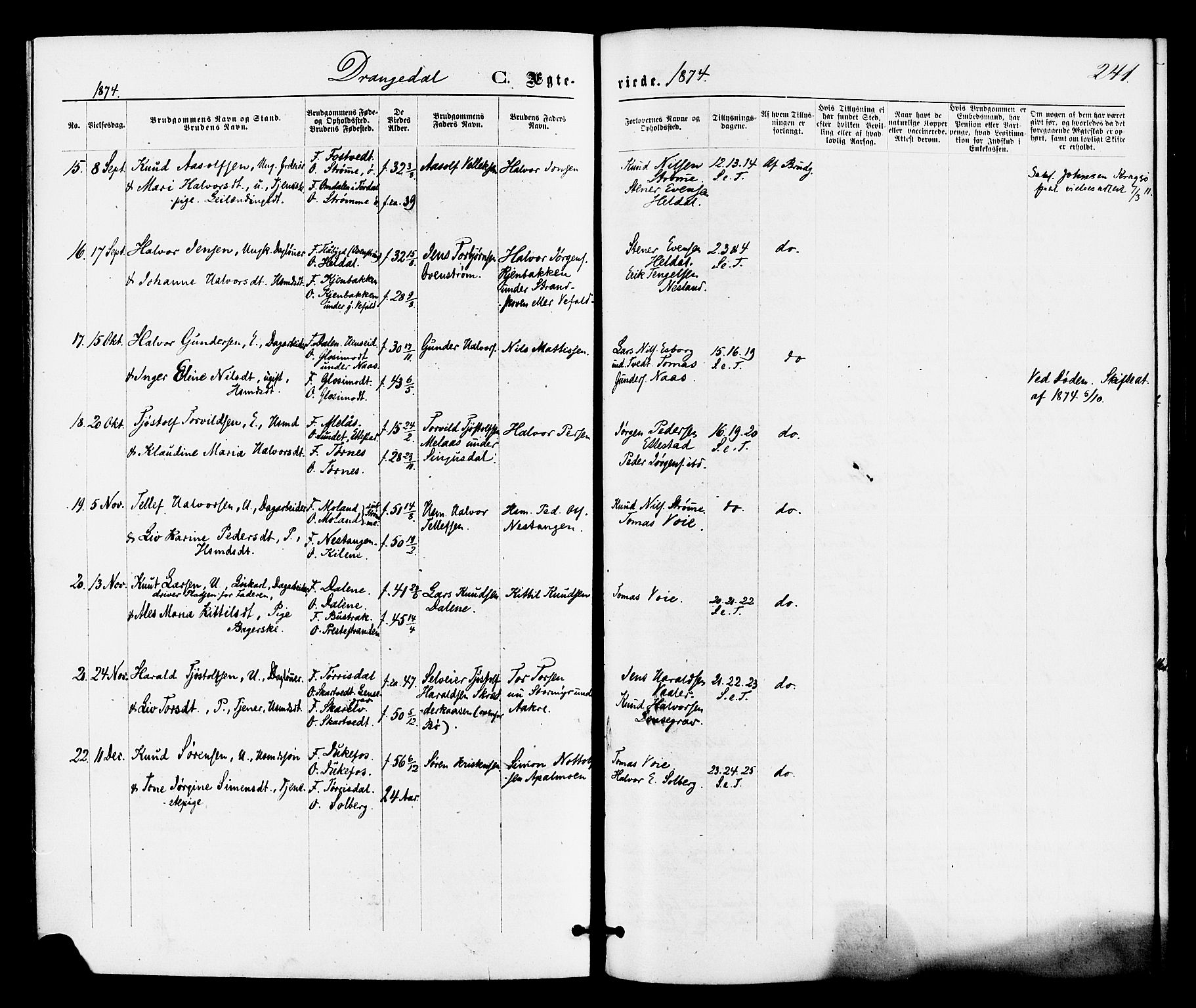 Drangedal kirkebøker, SAKO/A-258/F/Fa/L0009: Parish register (official) no. 9 /1, 1872-1884, p. 241