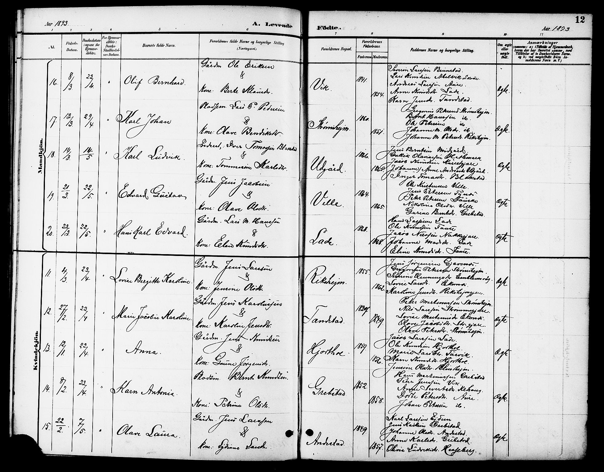 Ministerialprotokoller, klokkerbøker og fødselsregistre - Møre og Romsdal, AV/SAT-A-1454/523/L0340: Parish register (copy) no. 523C03, 1892-1902, p. 12