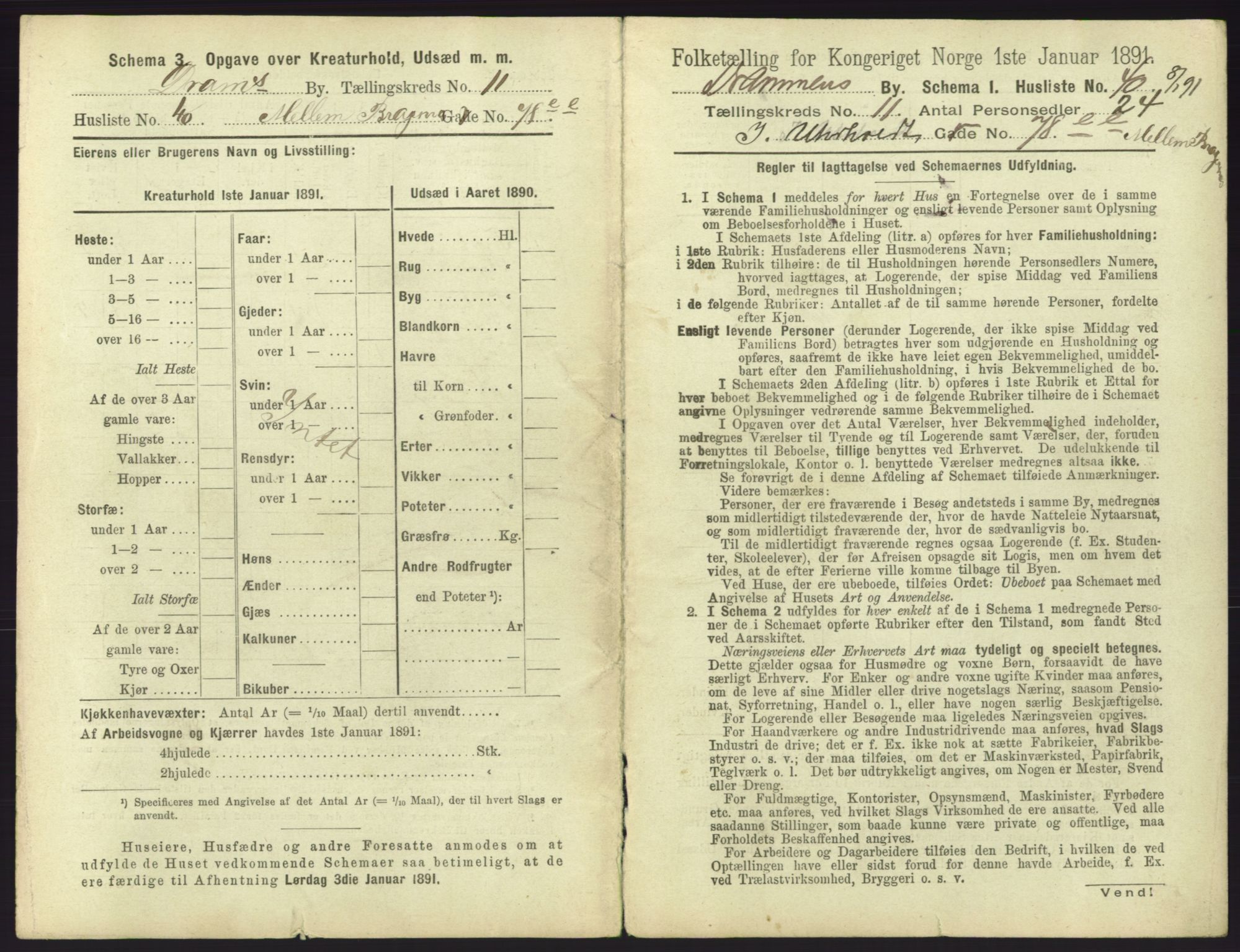 RA, 1891 census for 0602 Drammen, 1891, p. 987