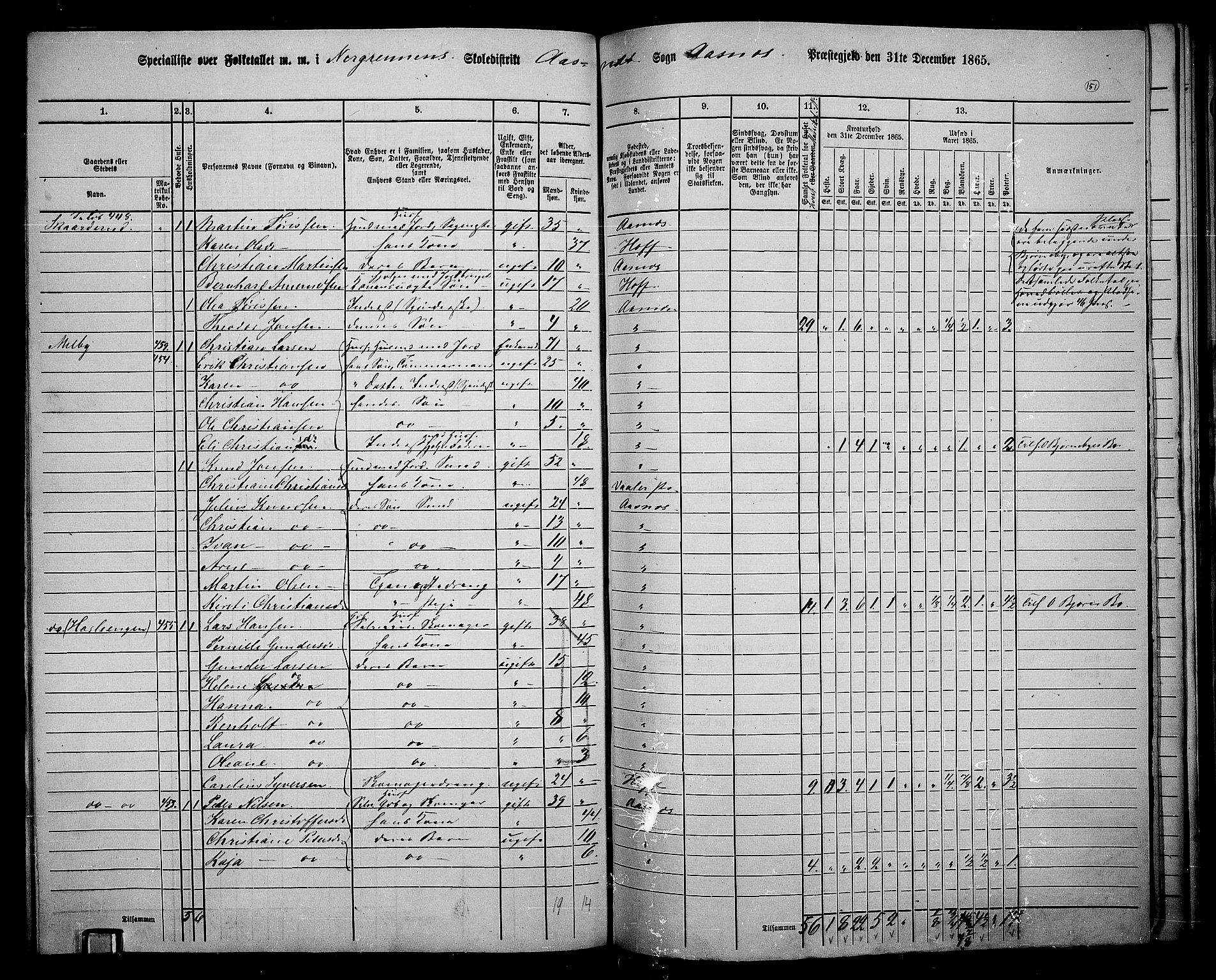 RA, 1865 census for Åsnes, 1865, p. 140