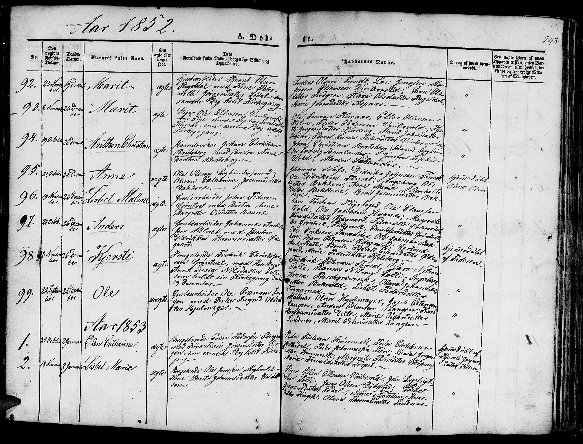 Ministerialprotokoller, klokkerbøker og fødselsregistre - Sør-Trøndelag, SAT/A-1456/681/L0938: Parish register (copy) no. 681C02, 1829-1879, p. 248