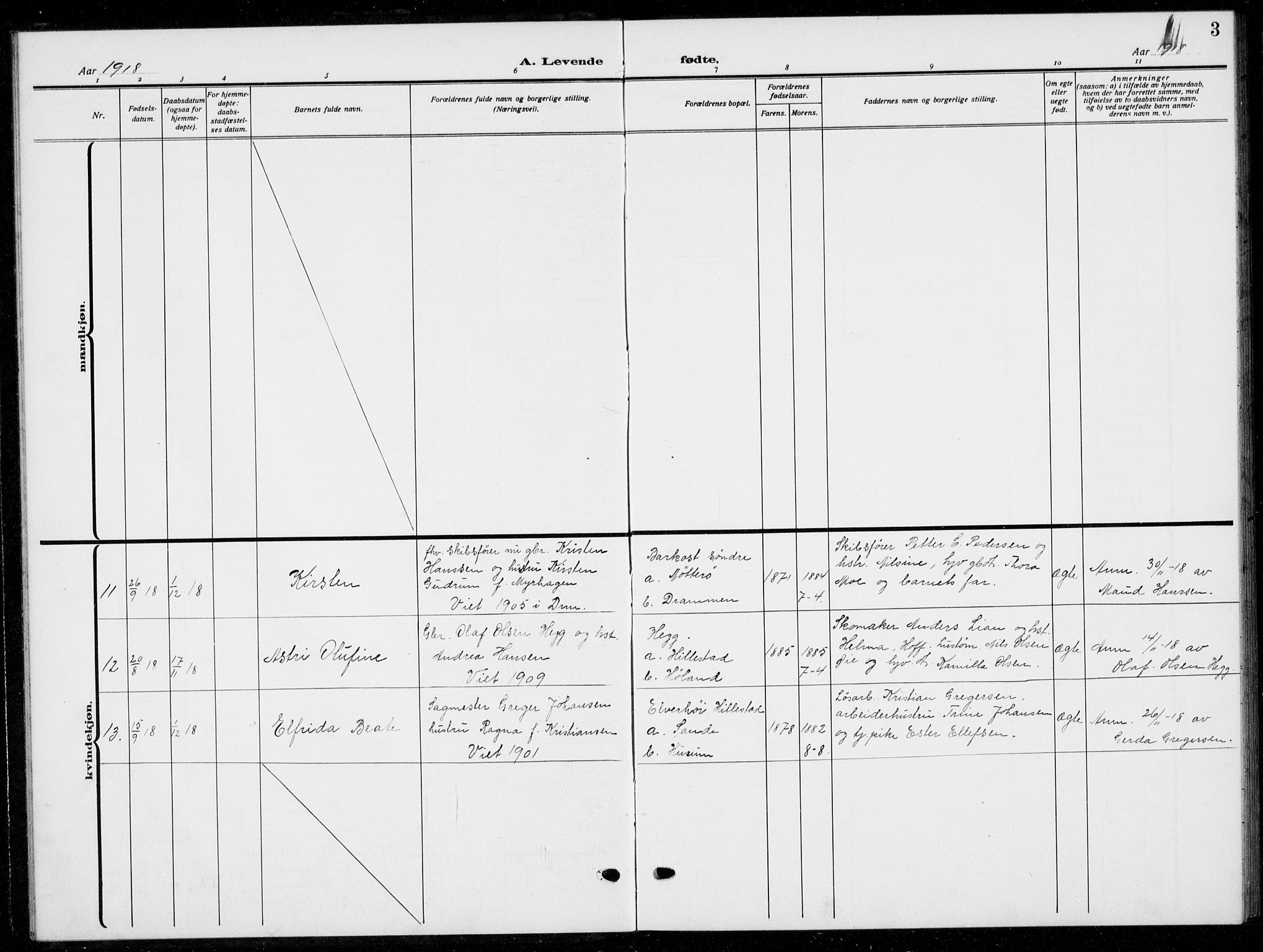 Botne kirkebøker, AV/SAKO-A-340/G/Gb/L0005: Parish register (copy) no. II 5, 1918-1936, p. 3