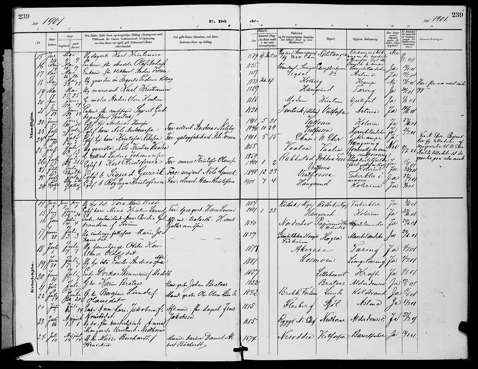 Eiker kirkebøker, SAKO/A-4/G/Ga/L0007: Parish register (copy) no. I 7, 1893-1902, p. 239