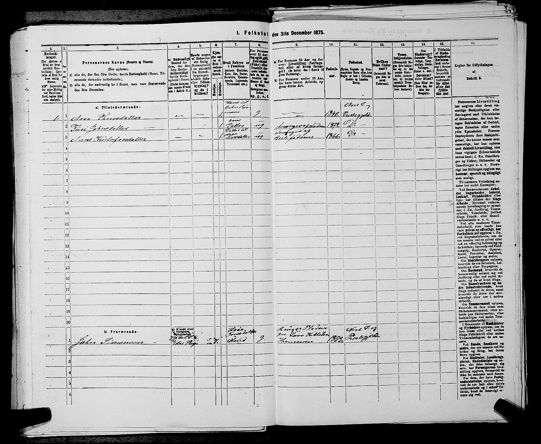 SAKO, 1875 census for 0633P Nore, 1875, p. 909