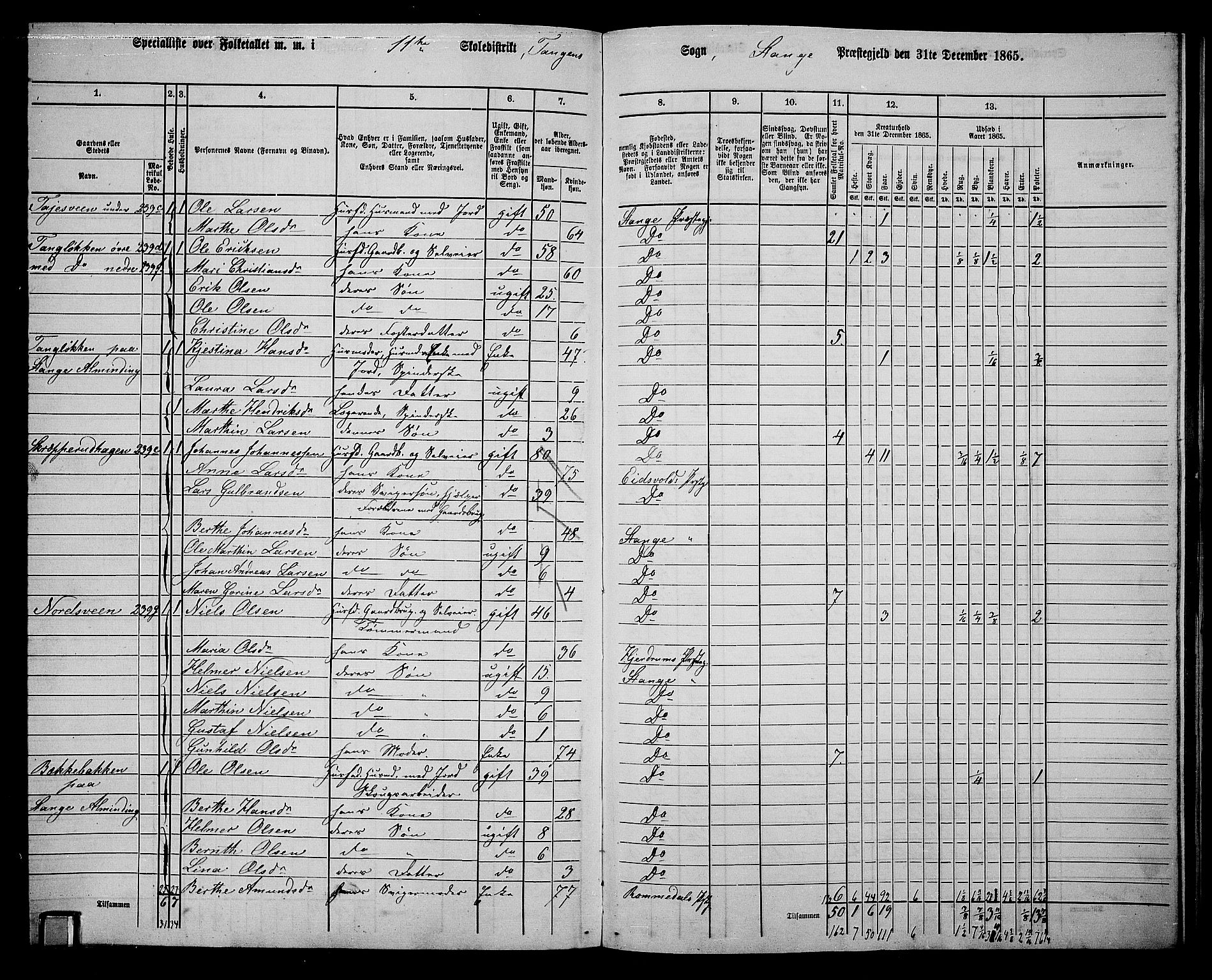 RA, 1865 census for Stange, 1865, p. 250