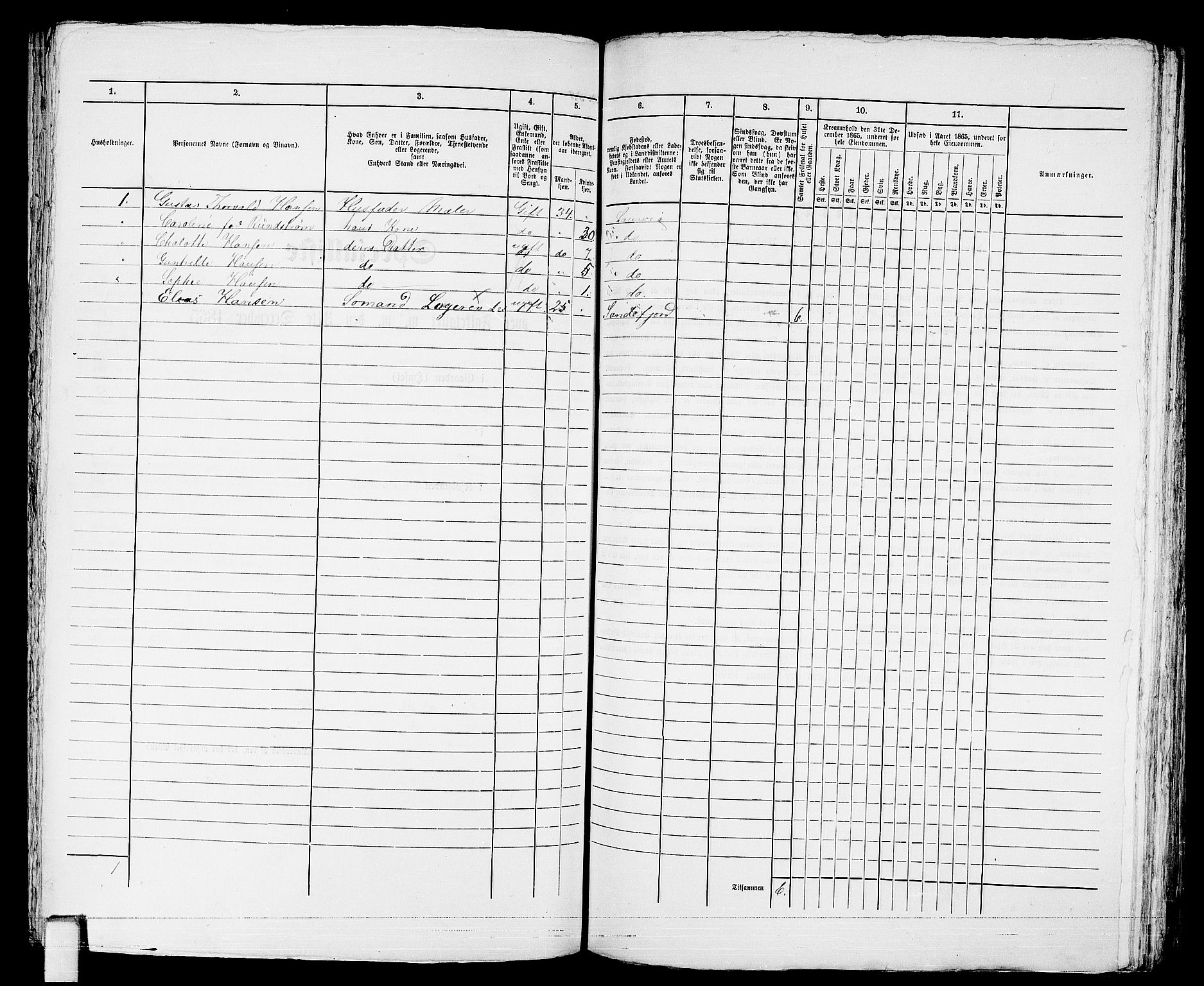 RA, 1865 census for Larvik, 1865, p. 340