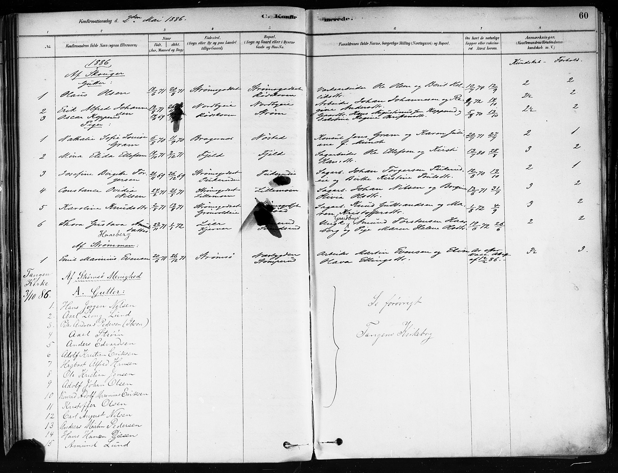 Strømsø kirkebøker, AV/SAKO-A-246/F/Fa/L0022: Parish register (official) no. I 22, 1879-1899, p. 60