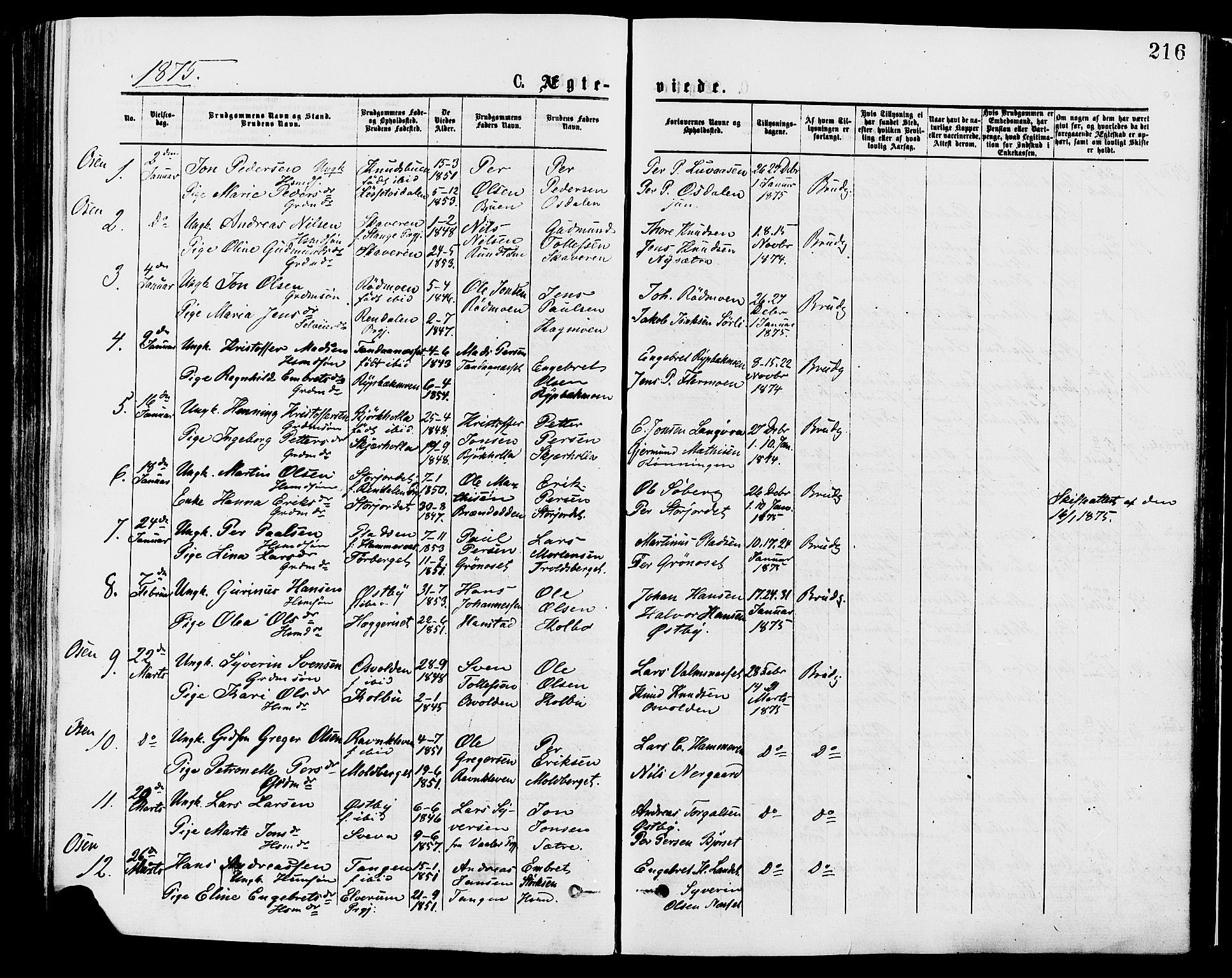 Trysil prestekontor, AV/SAH-PREST-046/H/Ha/Haa/L0007: Parish register (official) no. 7, 1874-1880, p. 216