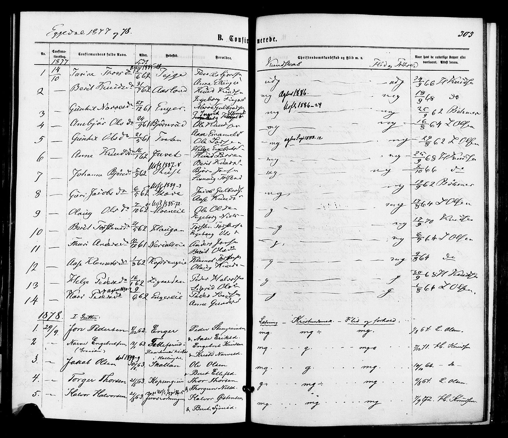 Sigdal kirkebøker, SAKO/A-245/F/Fa/L0010: Parish register (official) no. I 10 /3, 1872-1878, p. 303