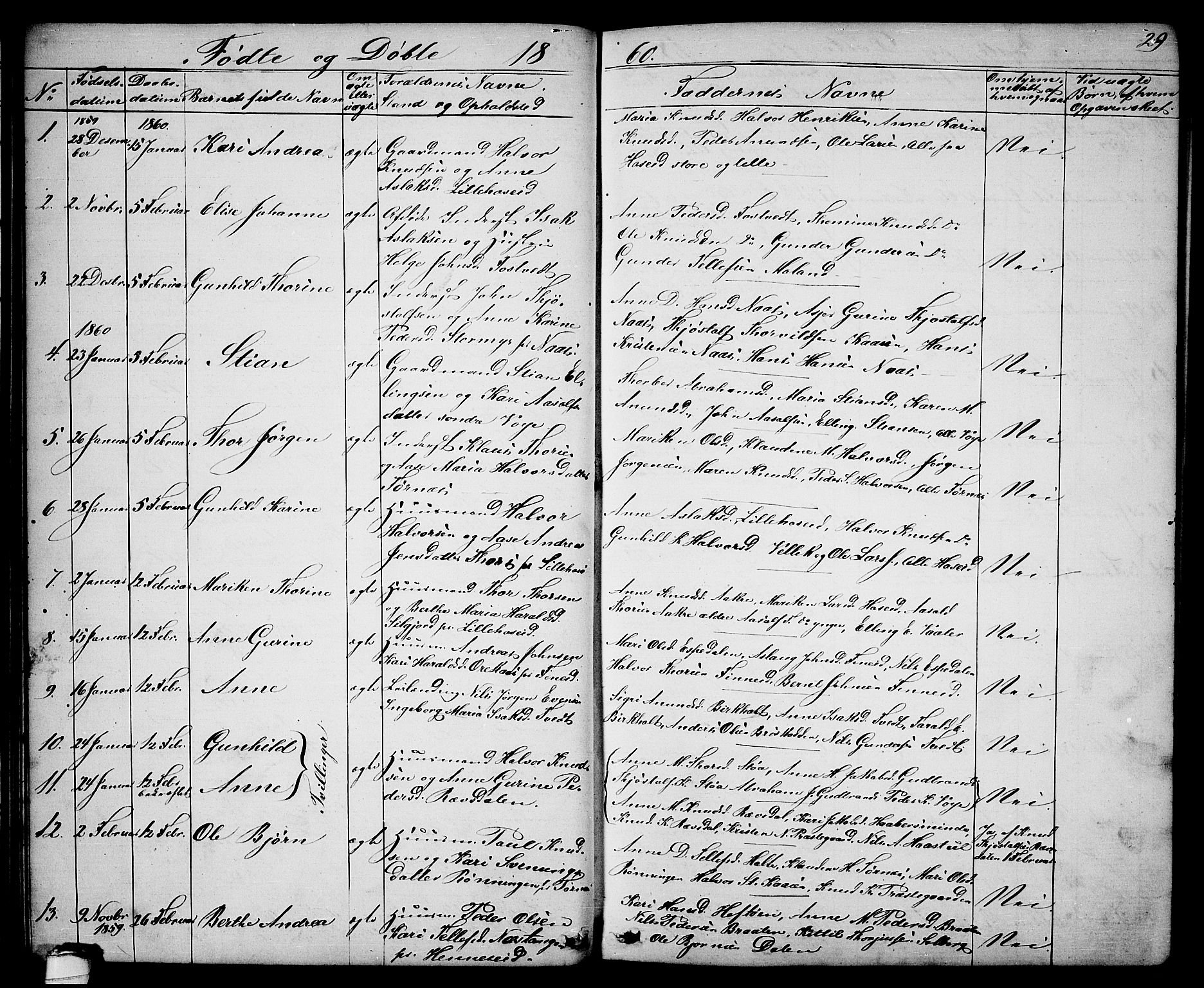 Drangedal kirkebøker, SAKO/A-258/G/Ga/L0002: Parish register (copy) no. I 2, 1856-1887, p. 29