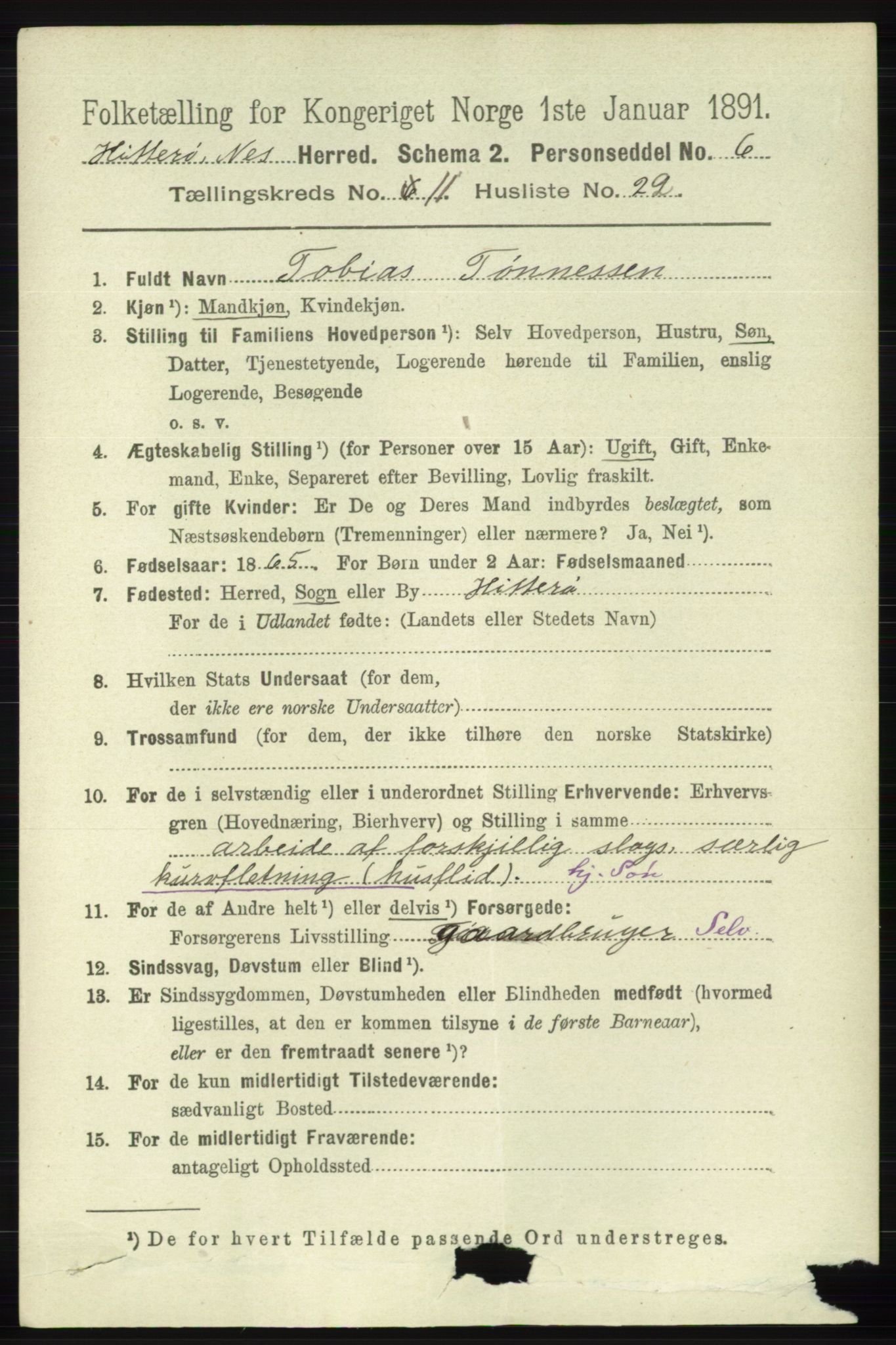 RA, 1891 census for 1043 Hidra og Nes, 1891, p. 4597