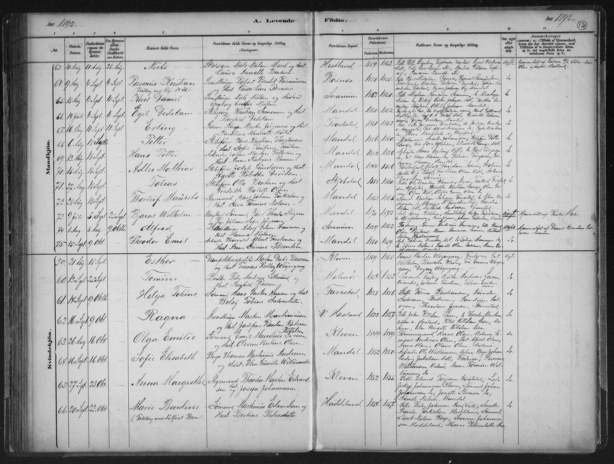 Mandal sokneprestkontor, AV/SAK-1111-0030/F/Fb/Fba/L0011: Parish register (copy) no. B 5, 1880-1898, p. 131