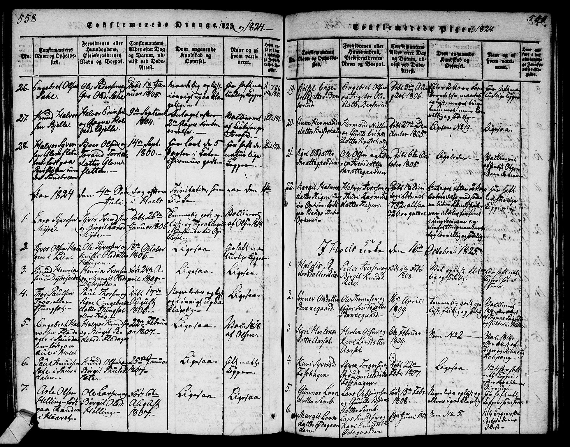 Ål kirkebøker, AV/SAKO-A-249/G/Ga/L0001: Parish register (copy) no. 1, 1815-1829, p. 558-559