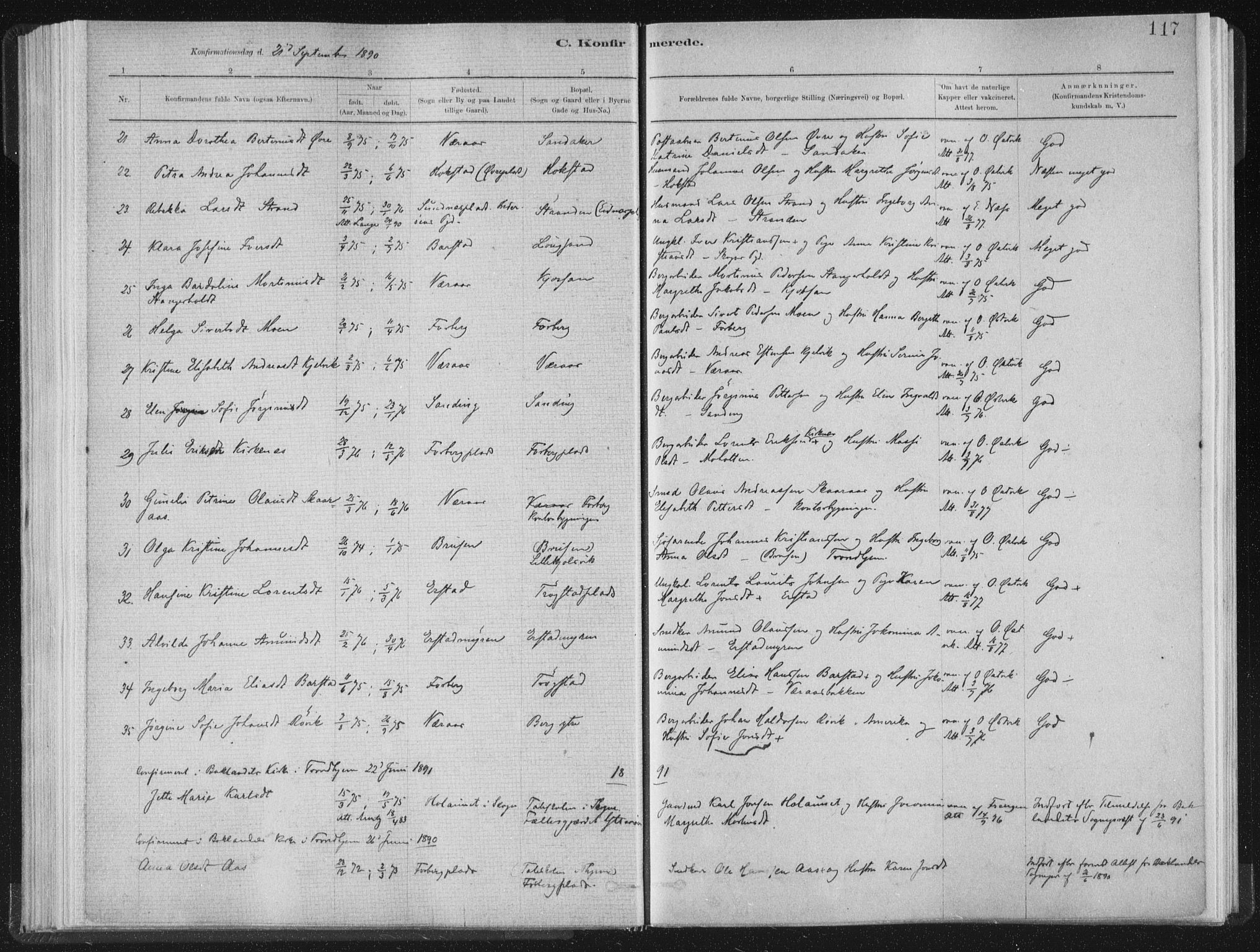 Ministerialprotokoller, klokkerbøker og fødselsregistre - Nord-Trøndelag, AV/SAT-A-1458/722/L0220: Parish register (official) no. 722A07, 1881-1908, p. 117