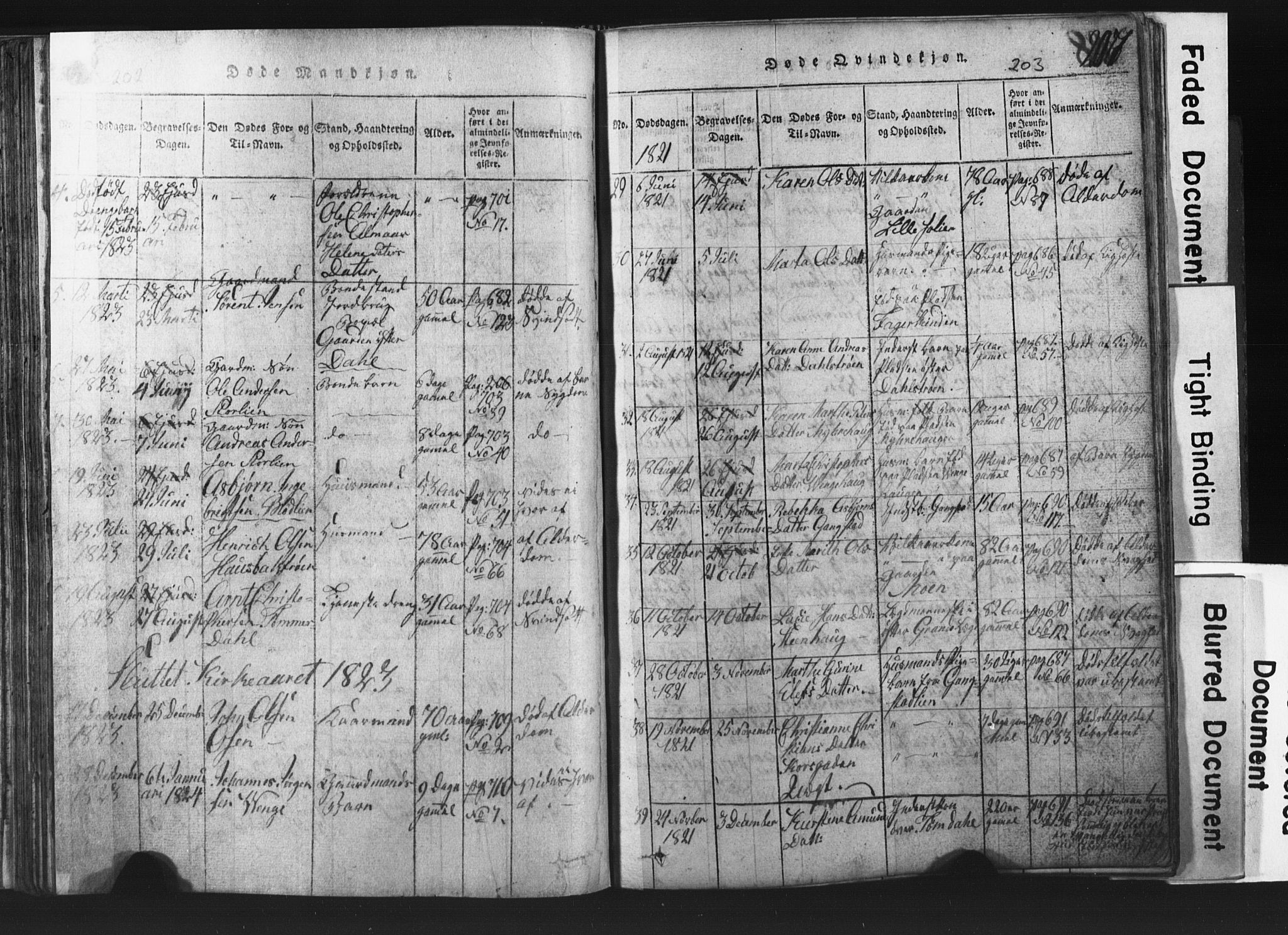 Ministerialprotokoller, klokkerbøker og fødselsregistre - Nord-Trøndelag, AV/SAT-A-1458/701/L0017: Parish register (copy) no. 701C01, 1817-1825, p. 202-203