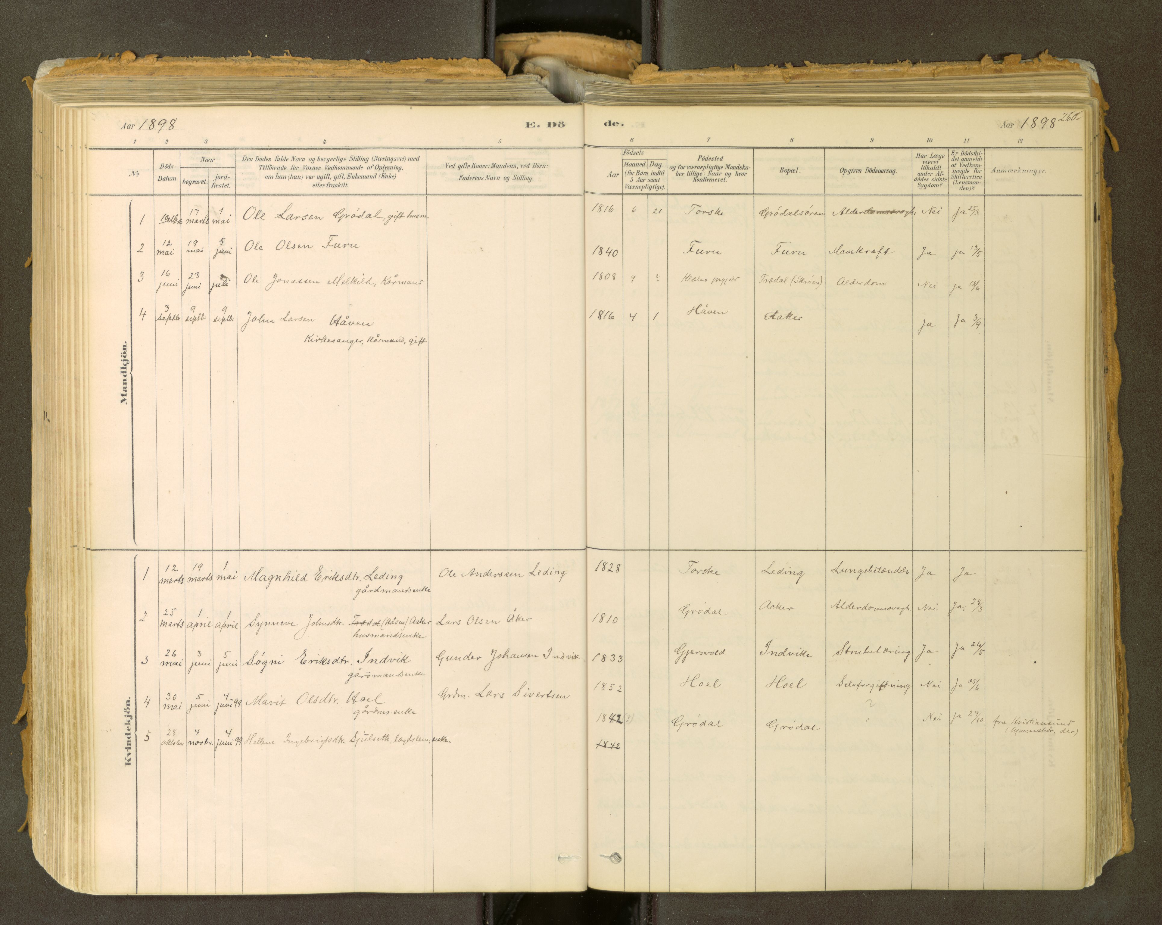 Sunndal sokneprestkontor, SAT/A-1085/1/I/I1/I1a: Parish register (official) no. 2, 1877-1914, p. 260
